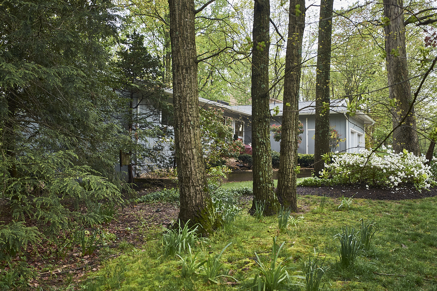 20200426-Around-the-House.010