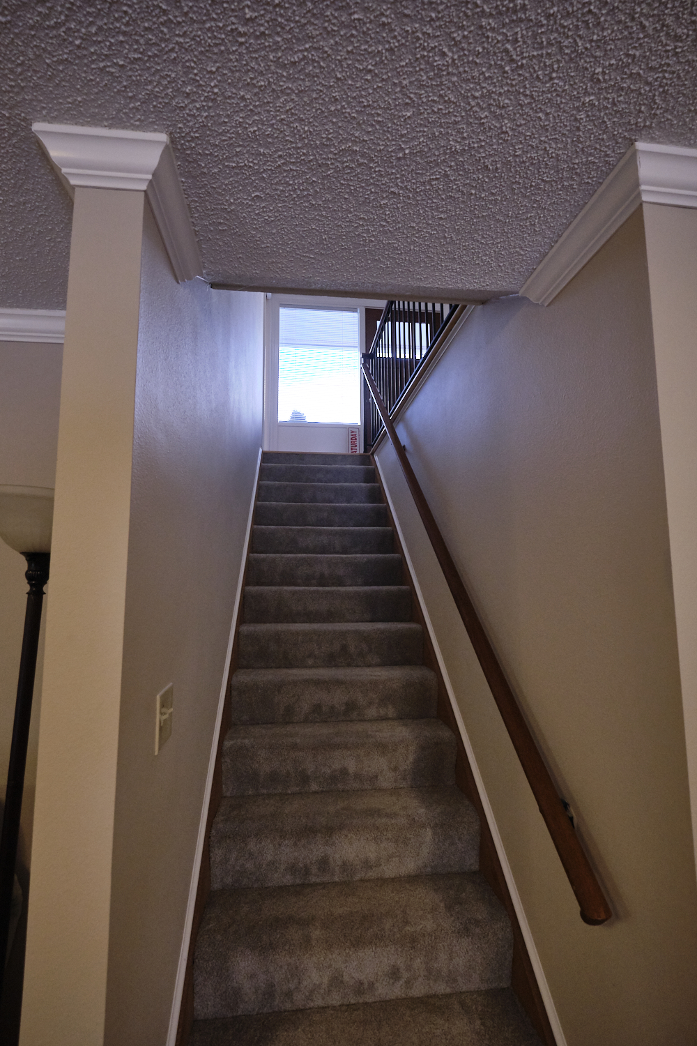 Purple Beech Interior