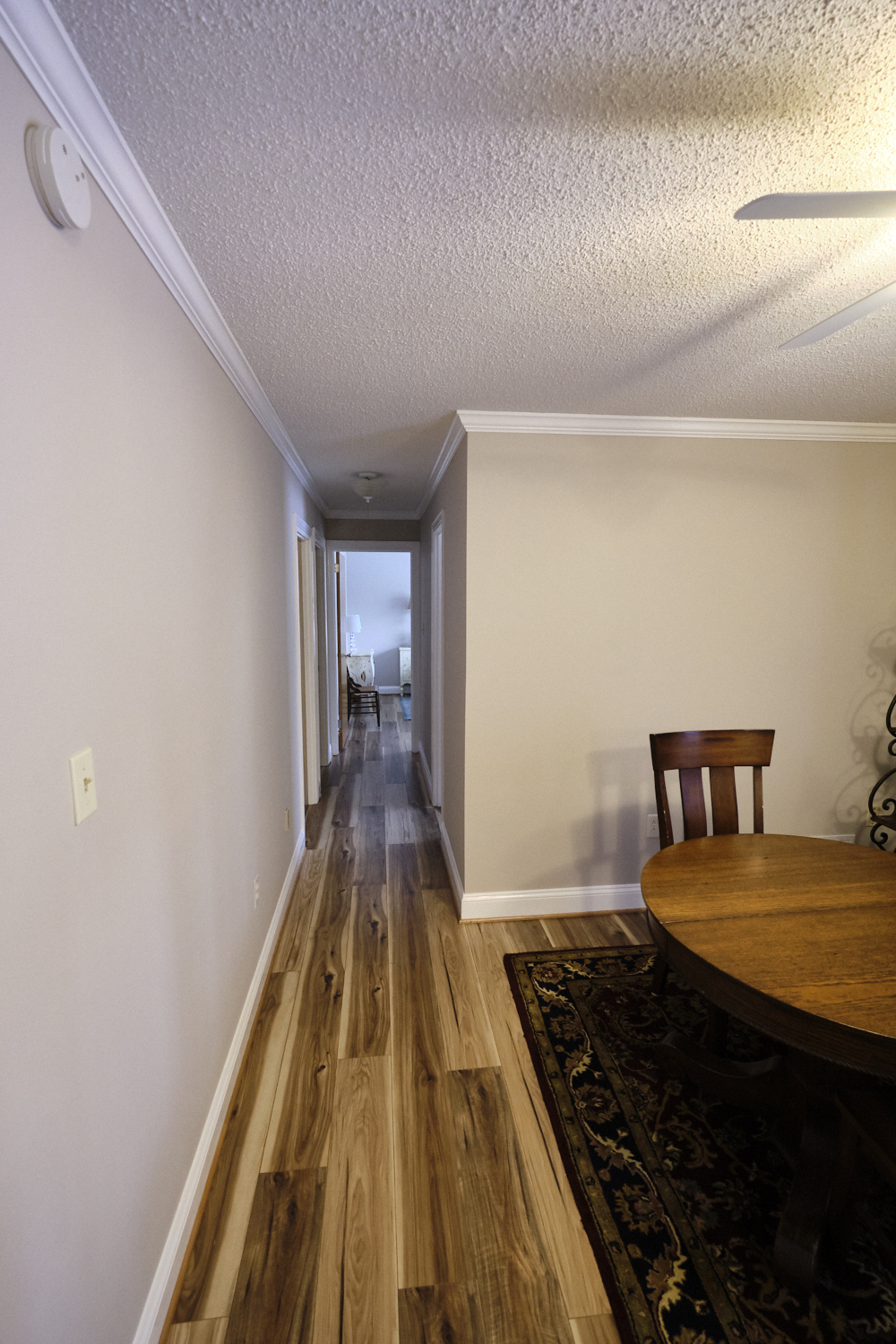 Purple Beech Interior