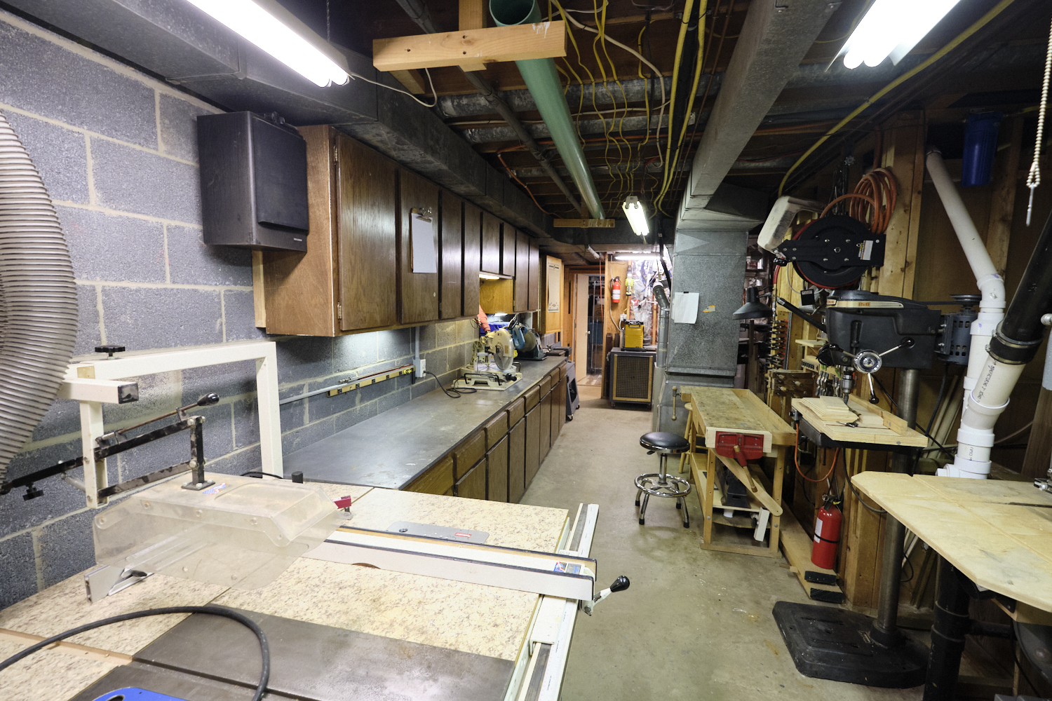 Purple Beech Interior