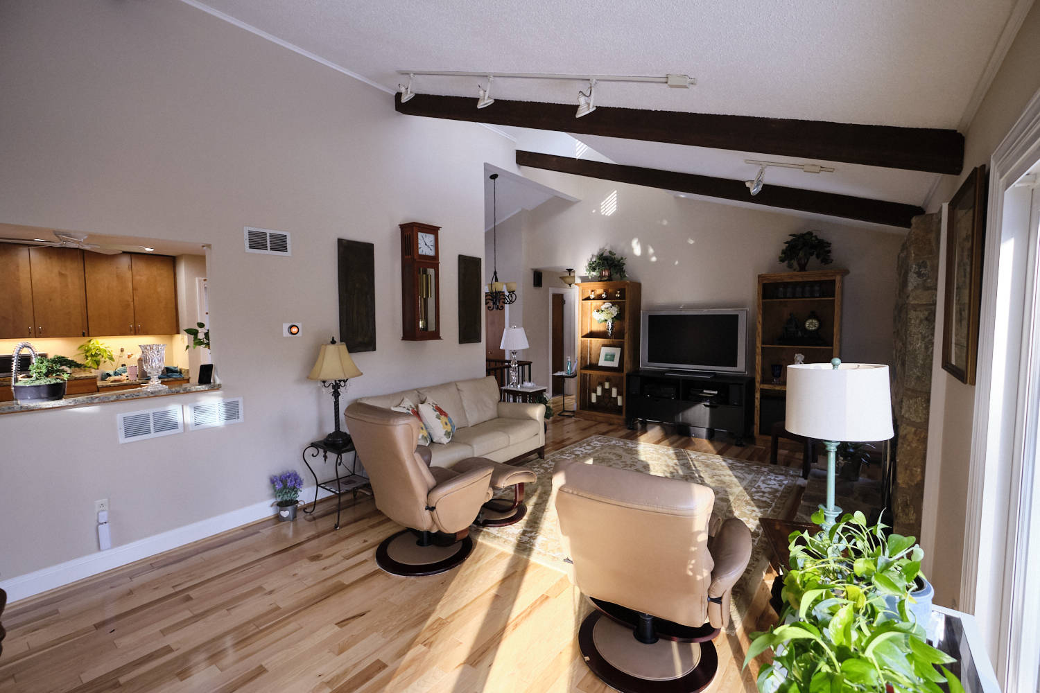 Purple Beech Interior