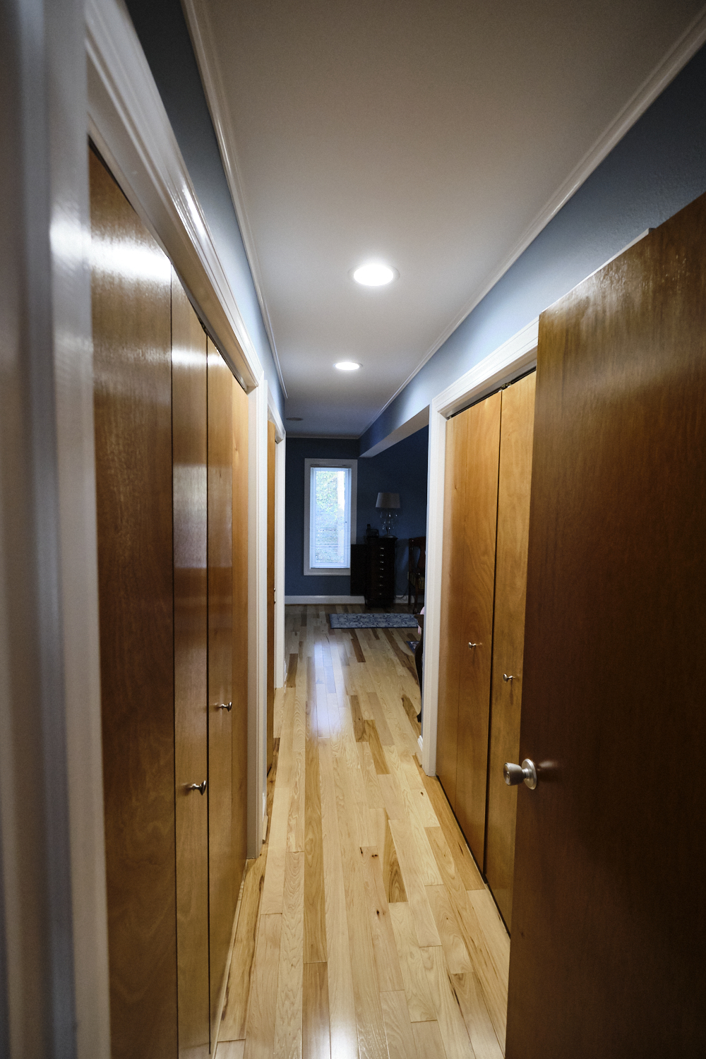 Purple Beech Interior