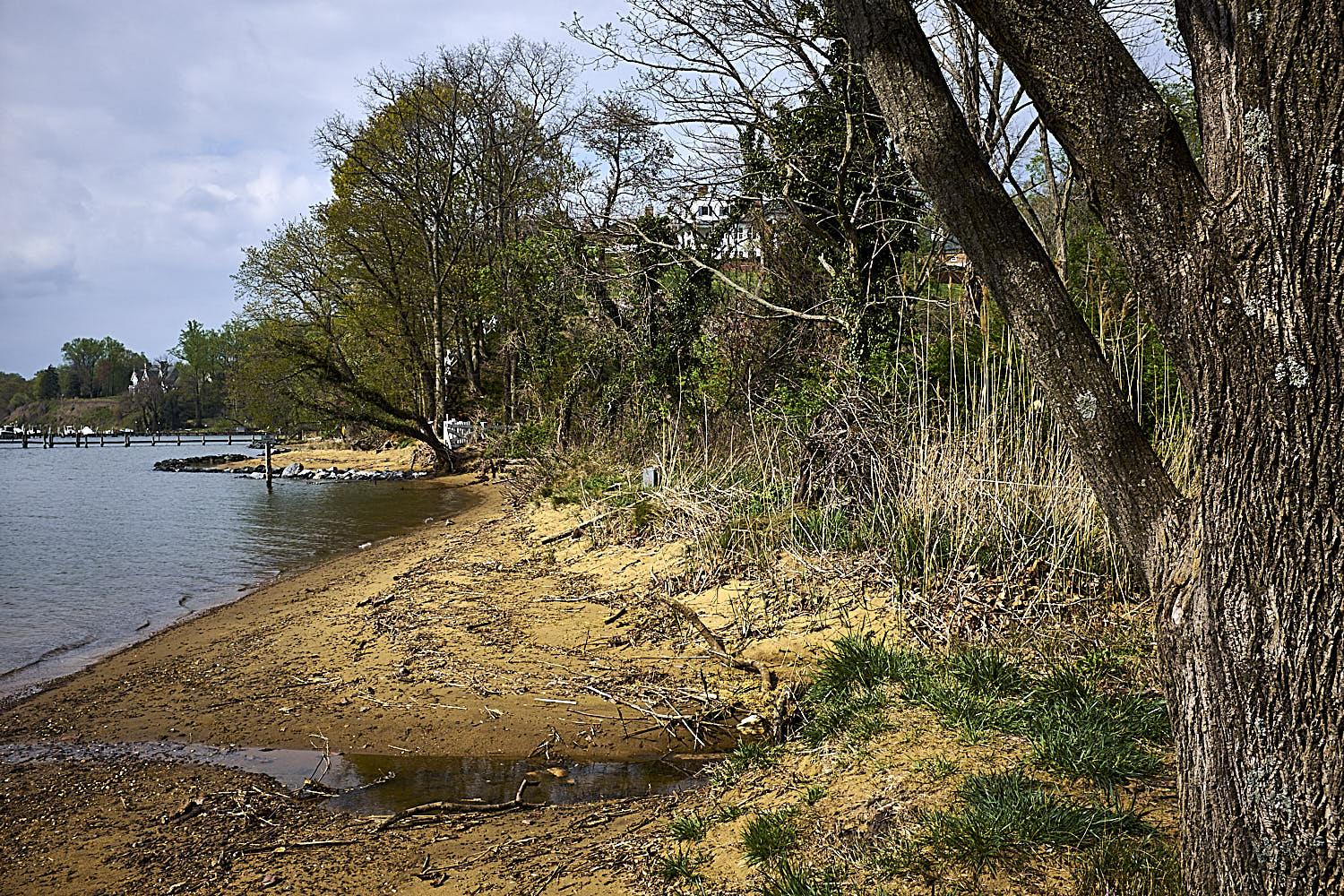 Severn River