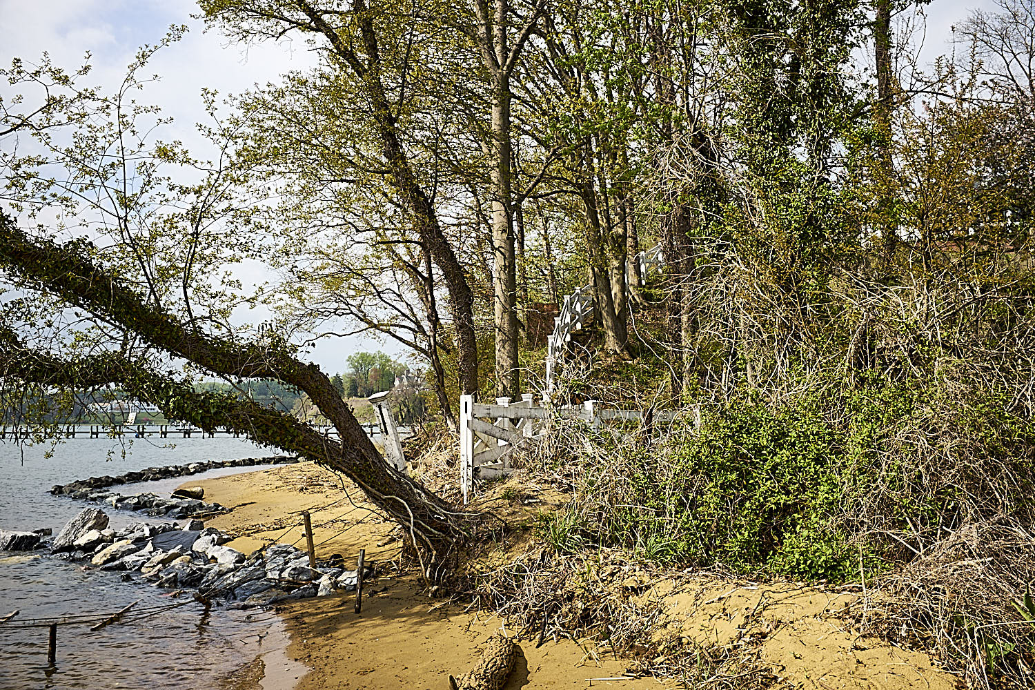Severn River