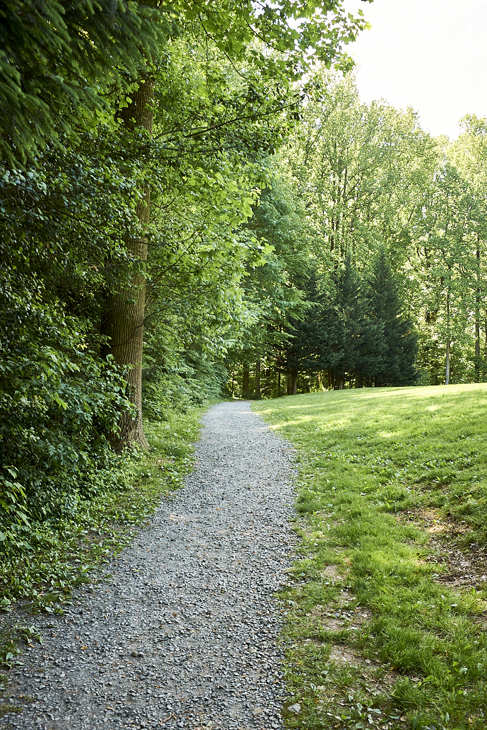 Walking Around Fairfax