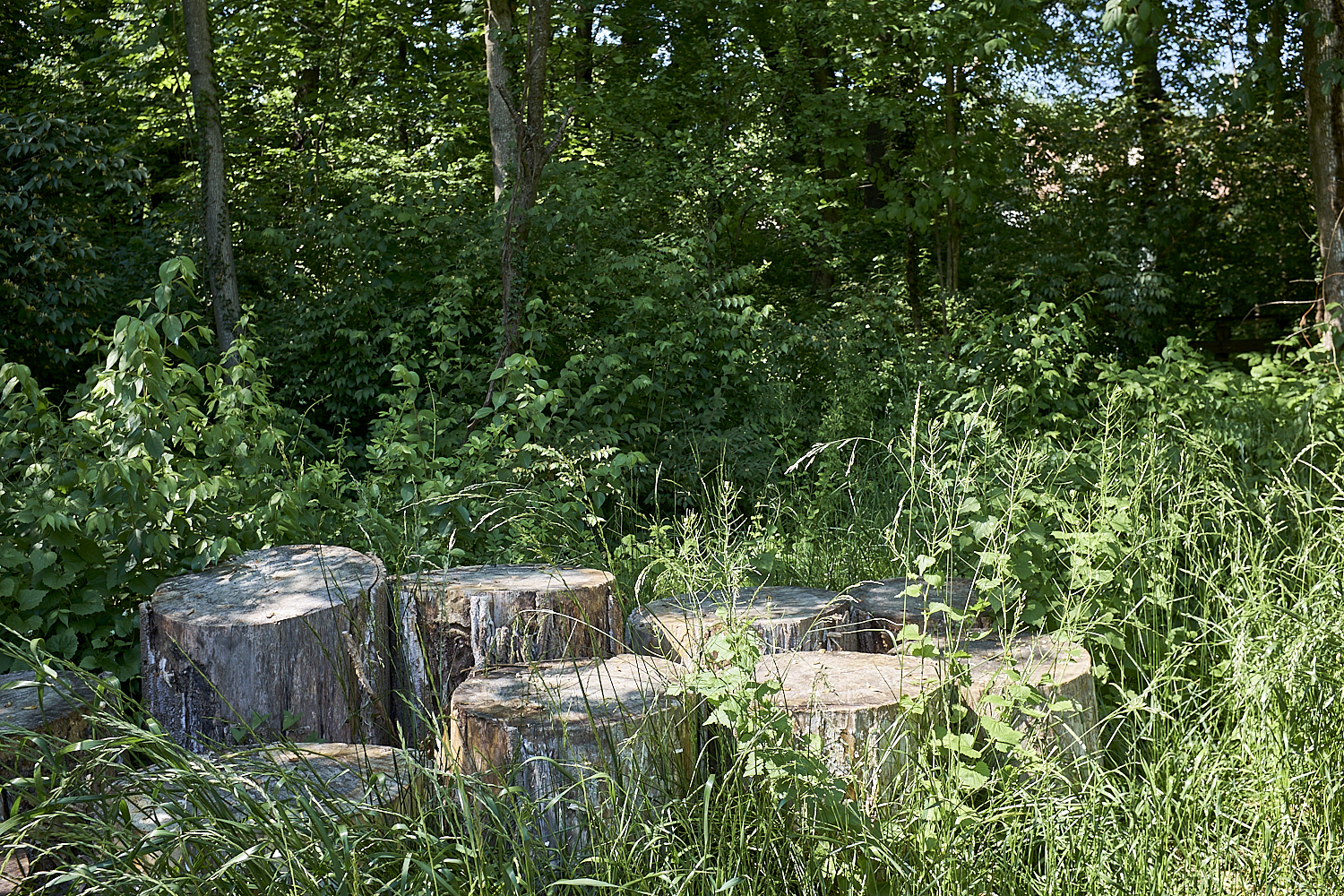 Walking Around Fairfax