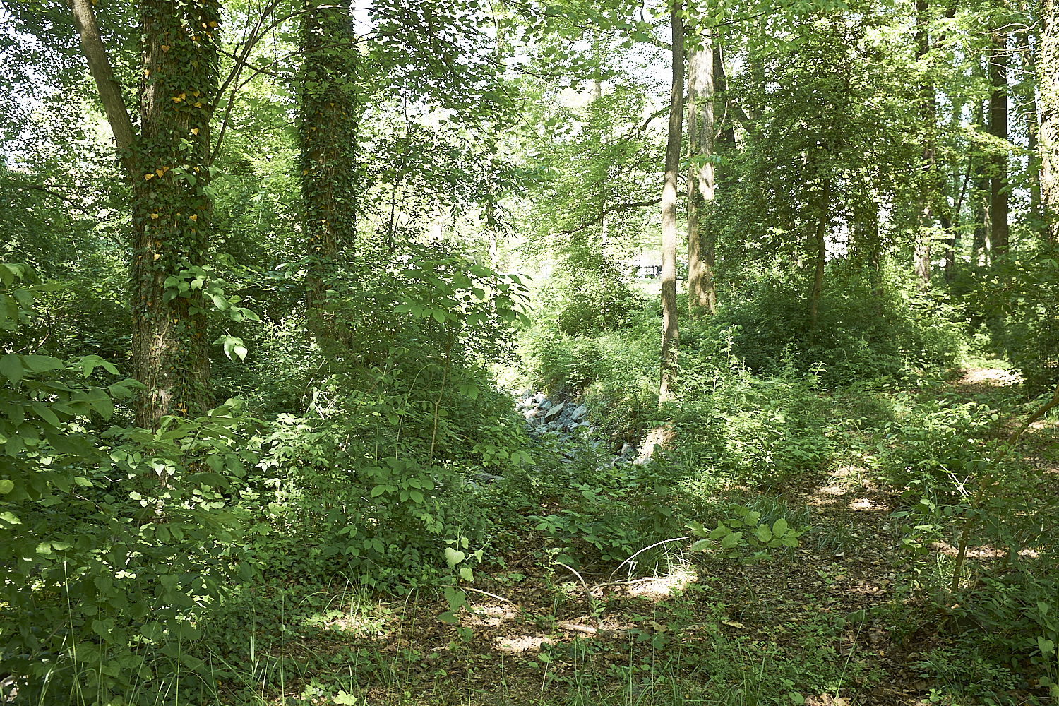 Walking Around Fairfax