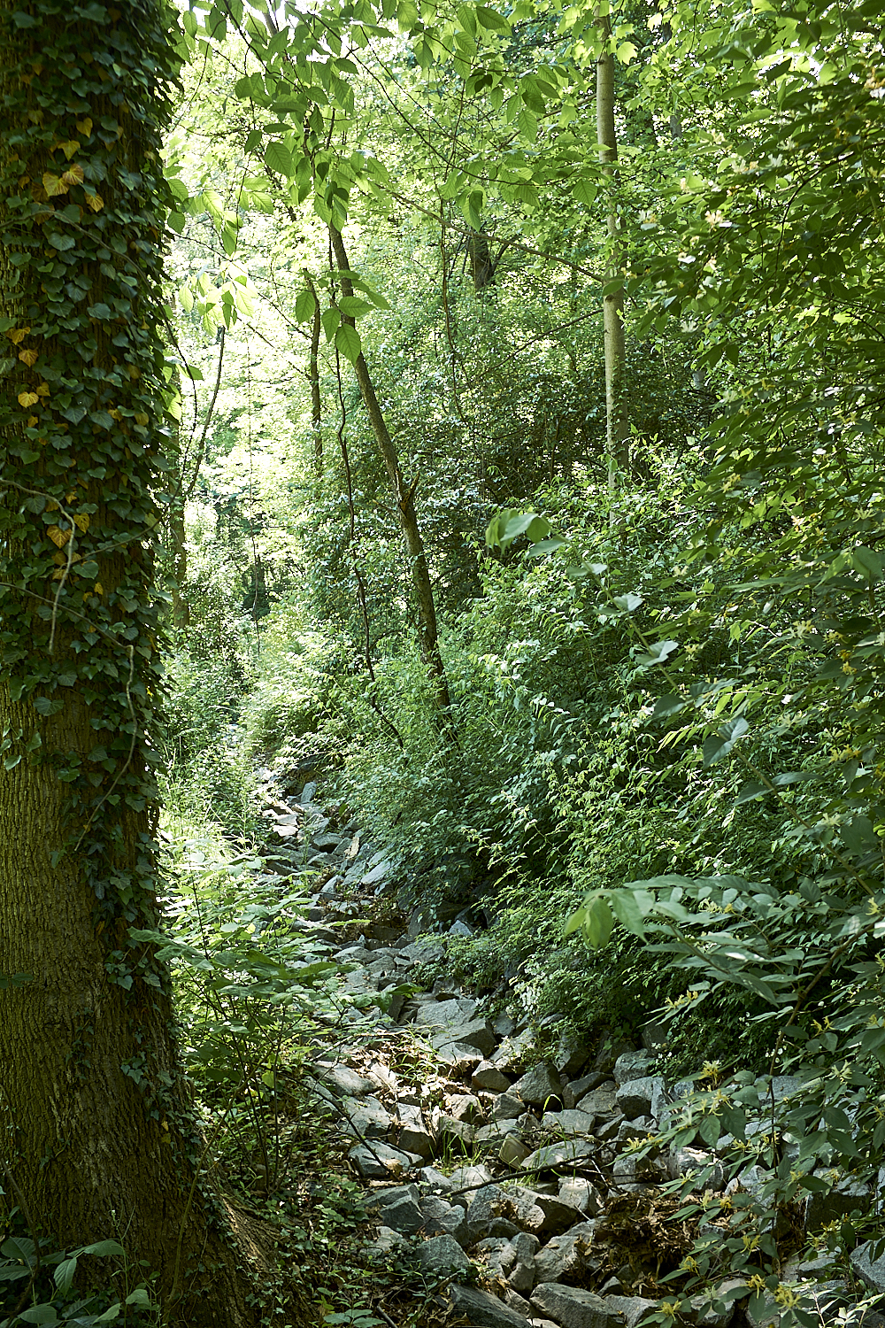 Walking Around Fairfax