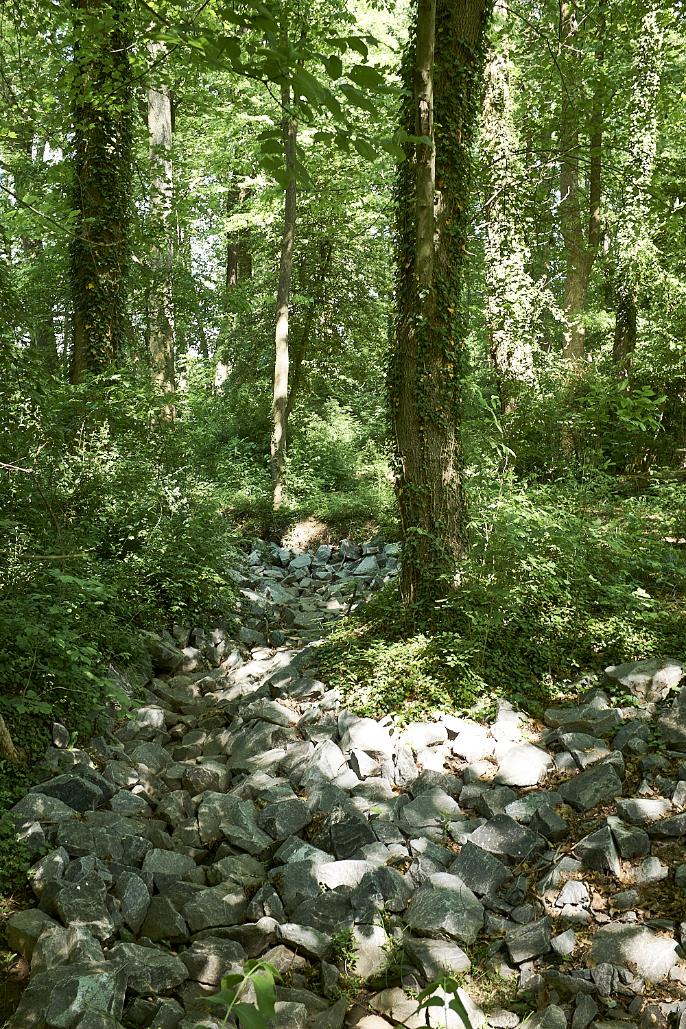 Walking Around Fairfax