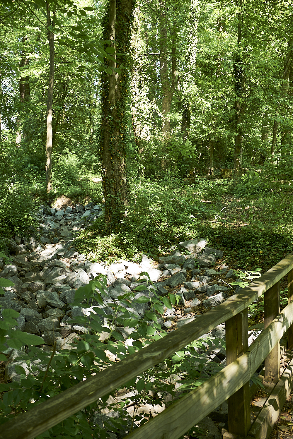 Walking Around Fairfax