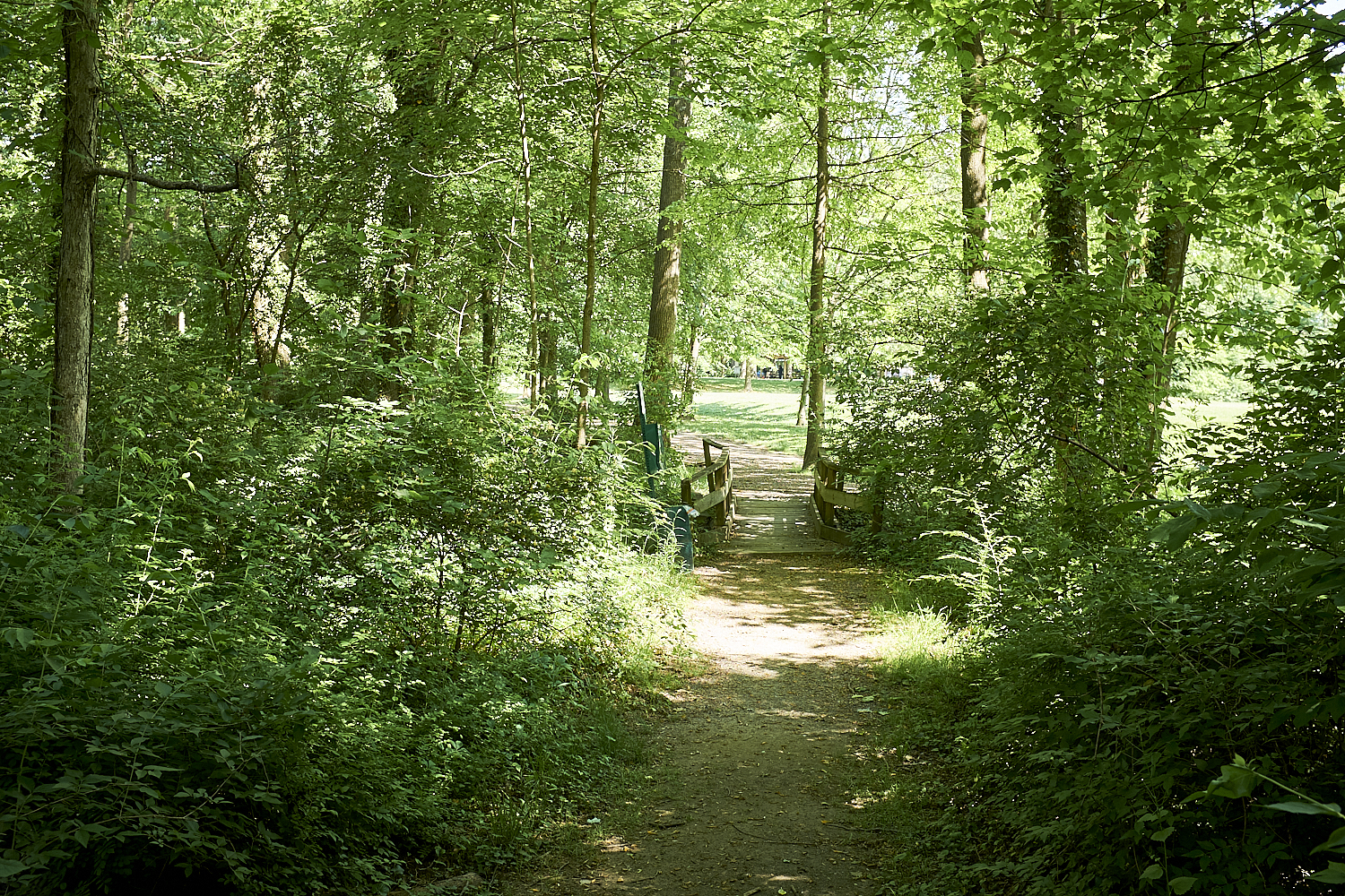 Walking Around Fairfax