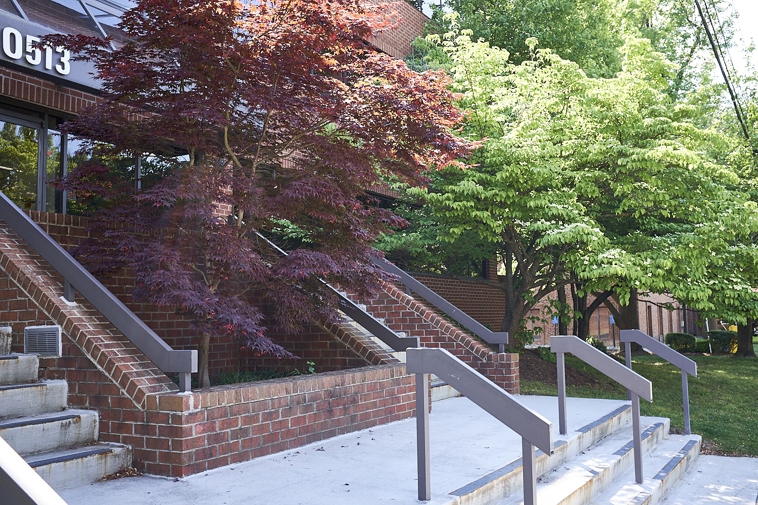 Walking Around Fairfax