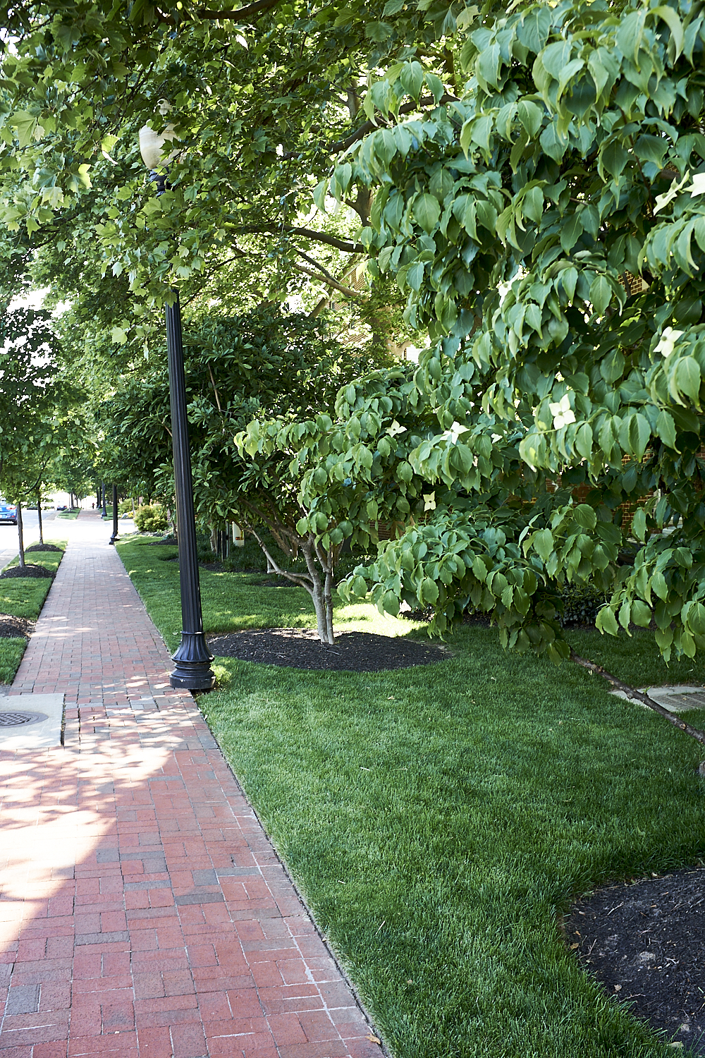 Walking Around Fairfax