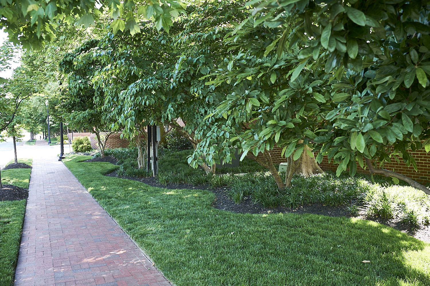 Walking Around Fairfax