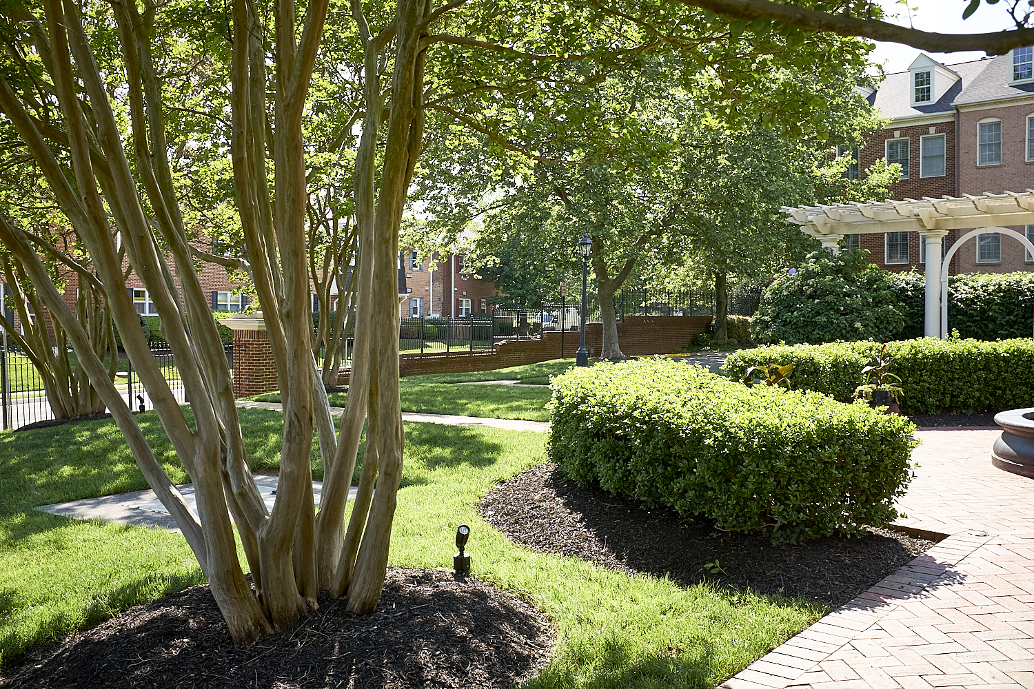 Walking Around Fairfax