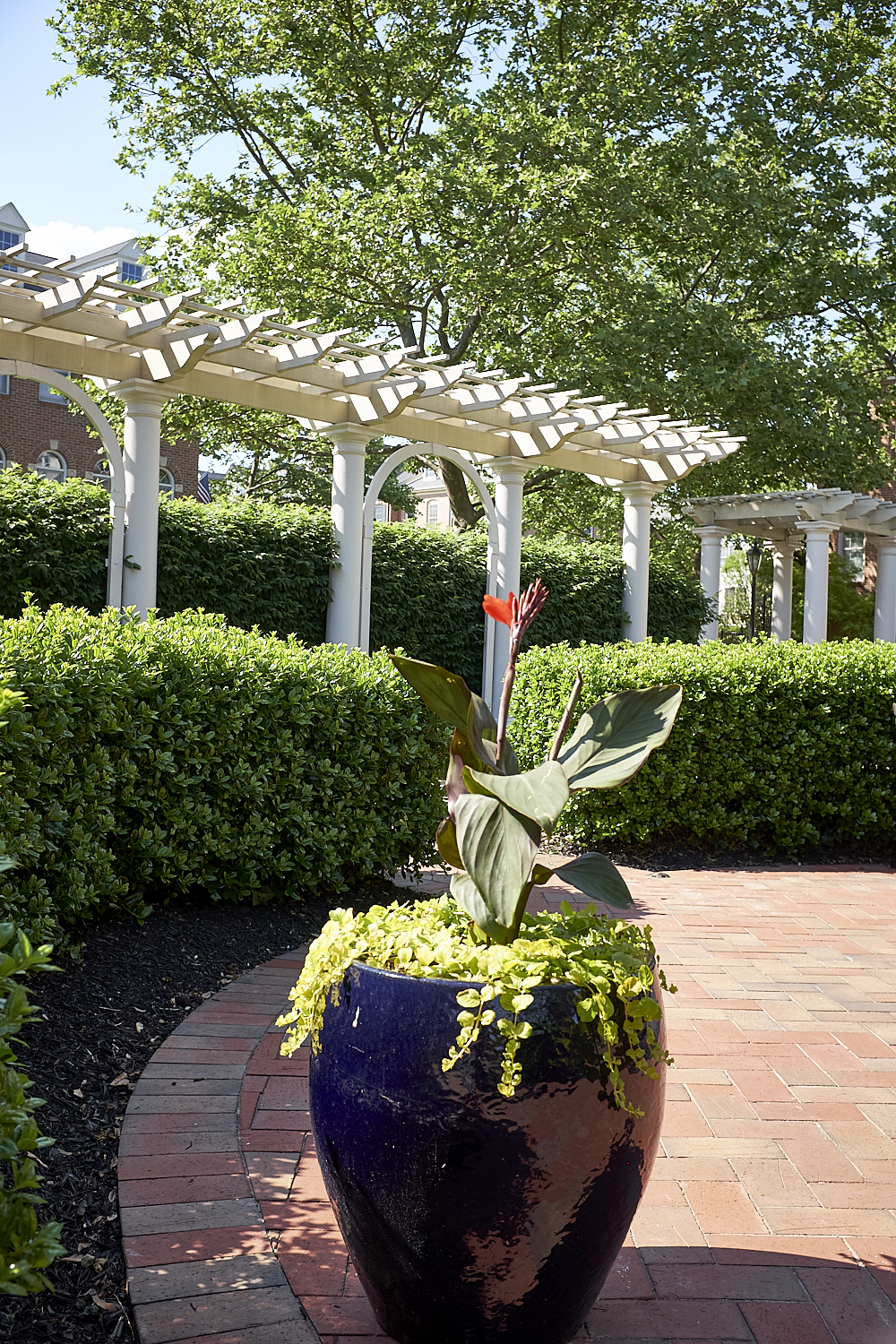 Walking Around Fairfax