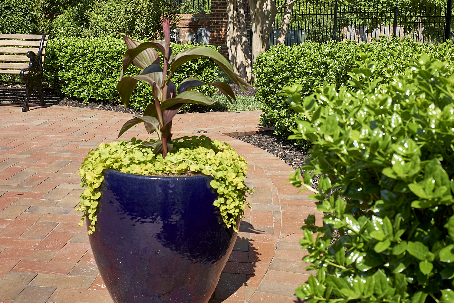 Walking Around Fairfax