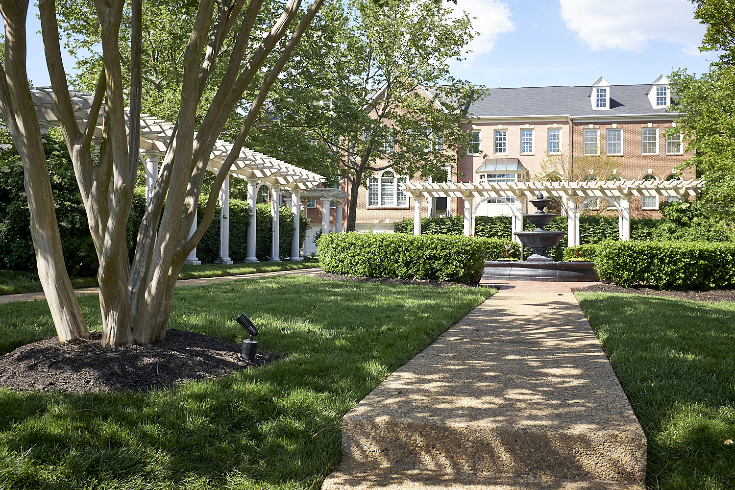 Walking Around Fairfax