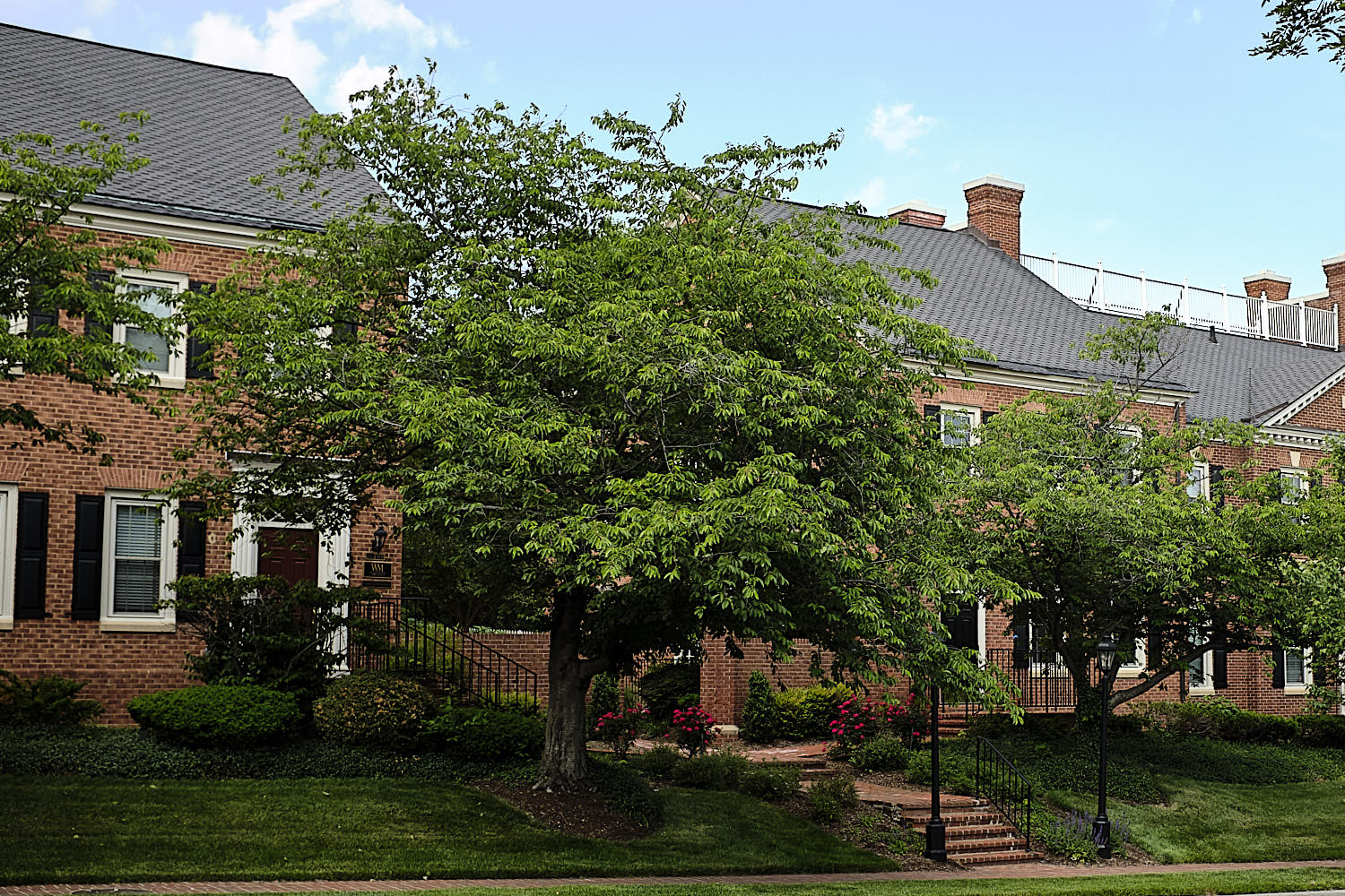 Walking around Fairfax