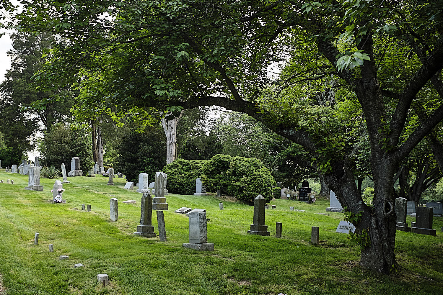 Walking around Fairfax