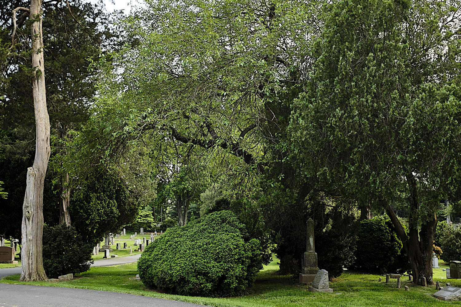 Walking around Fairfax