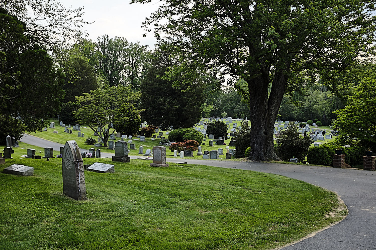 Walking around Fairfax