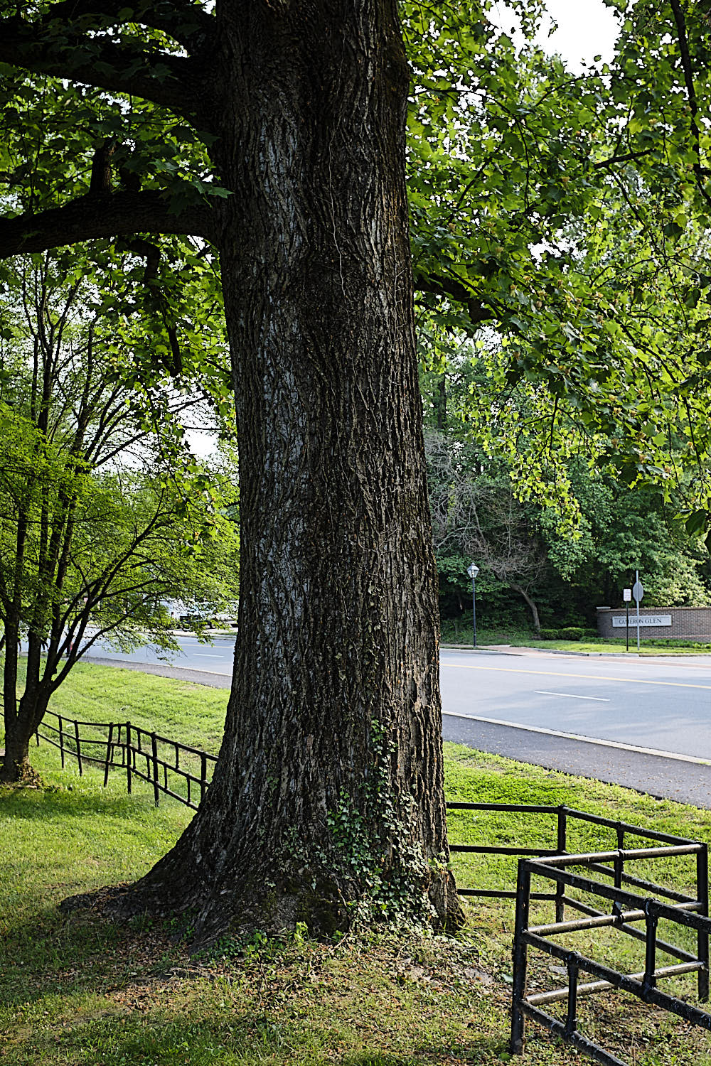 Walking around Fairfax