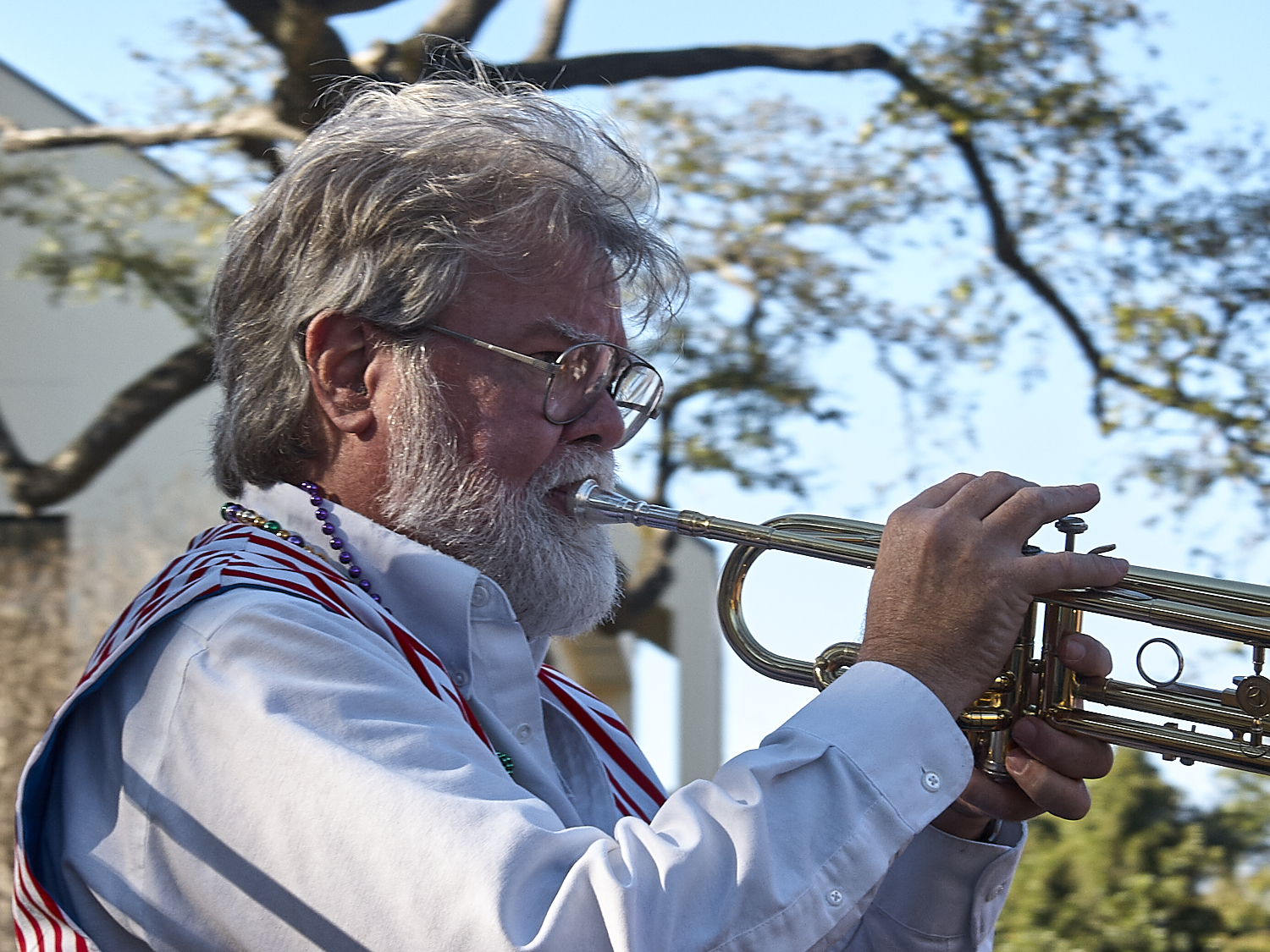 Parades on St. Charles Ave