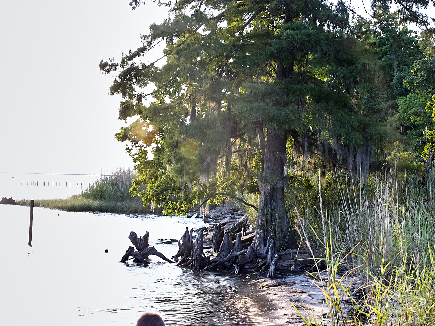 Spring Scout Campout