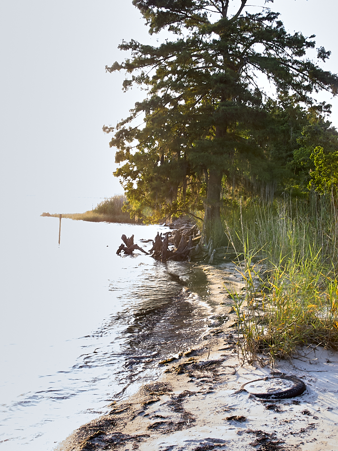 Spring Scout Campout