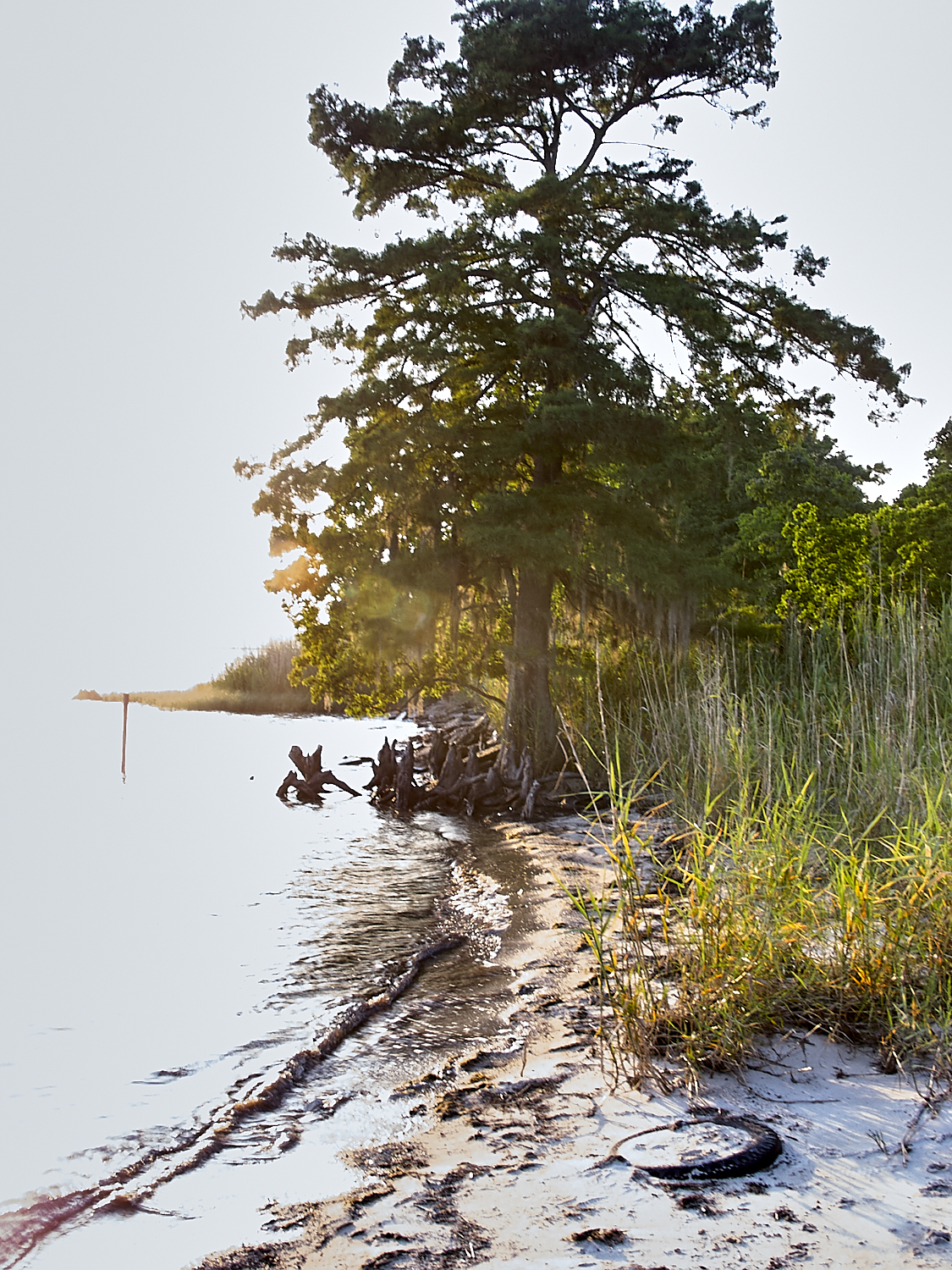 Spring Scout Campout