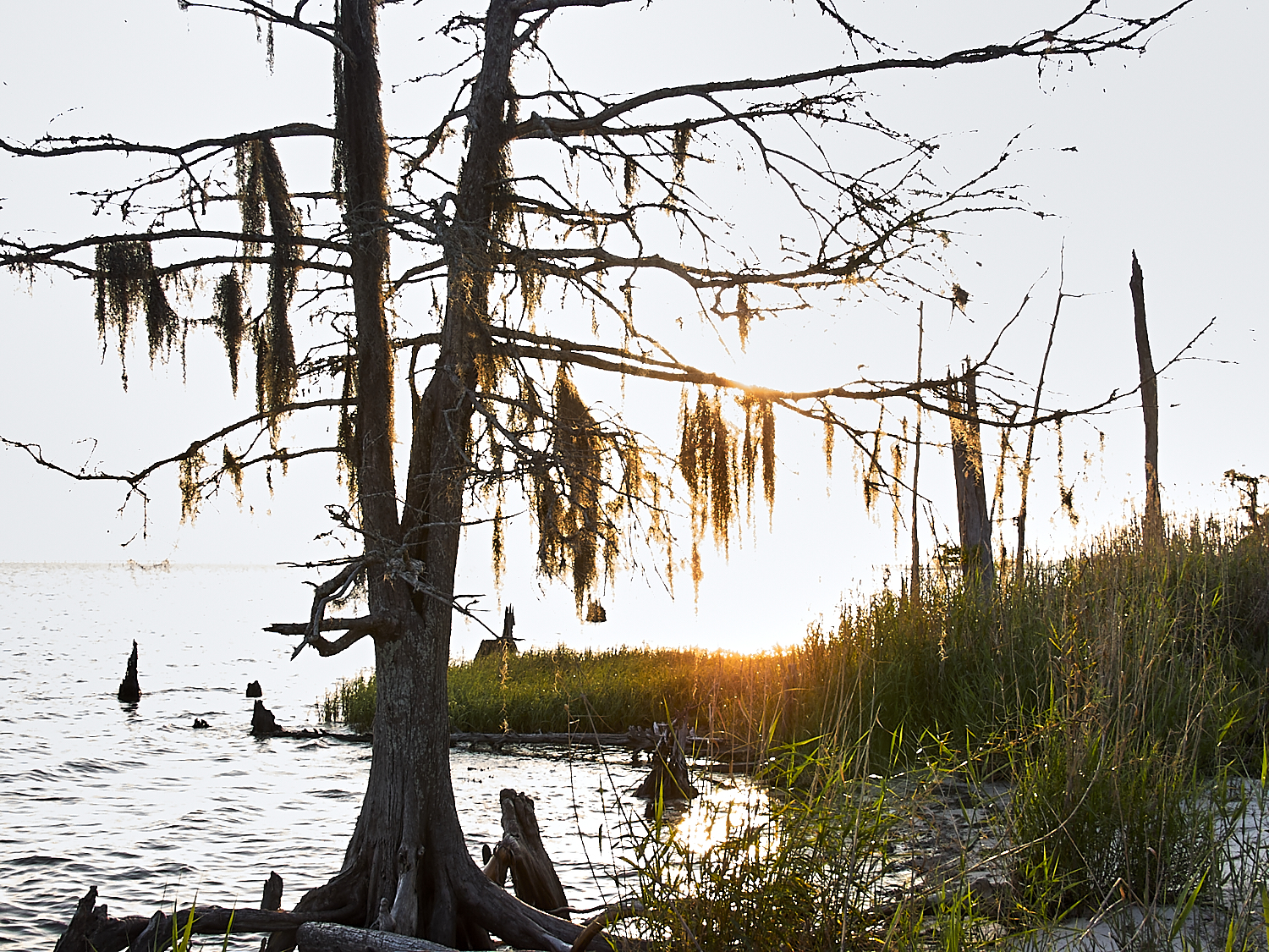 Spring Scout Campout