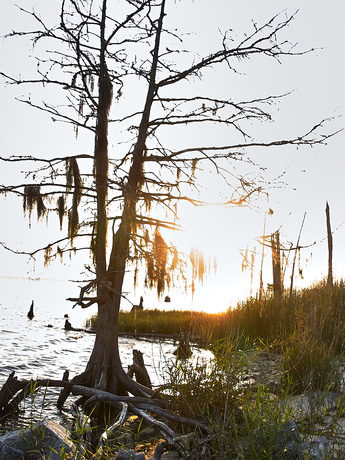 Spring Scout Campout