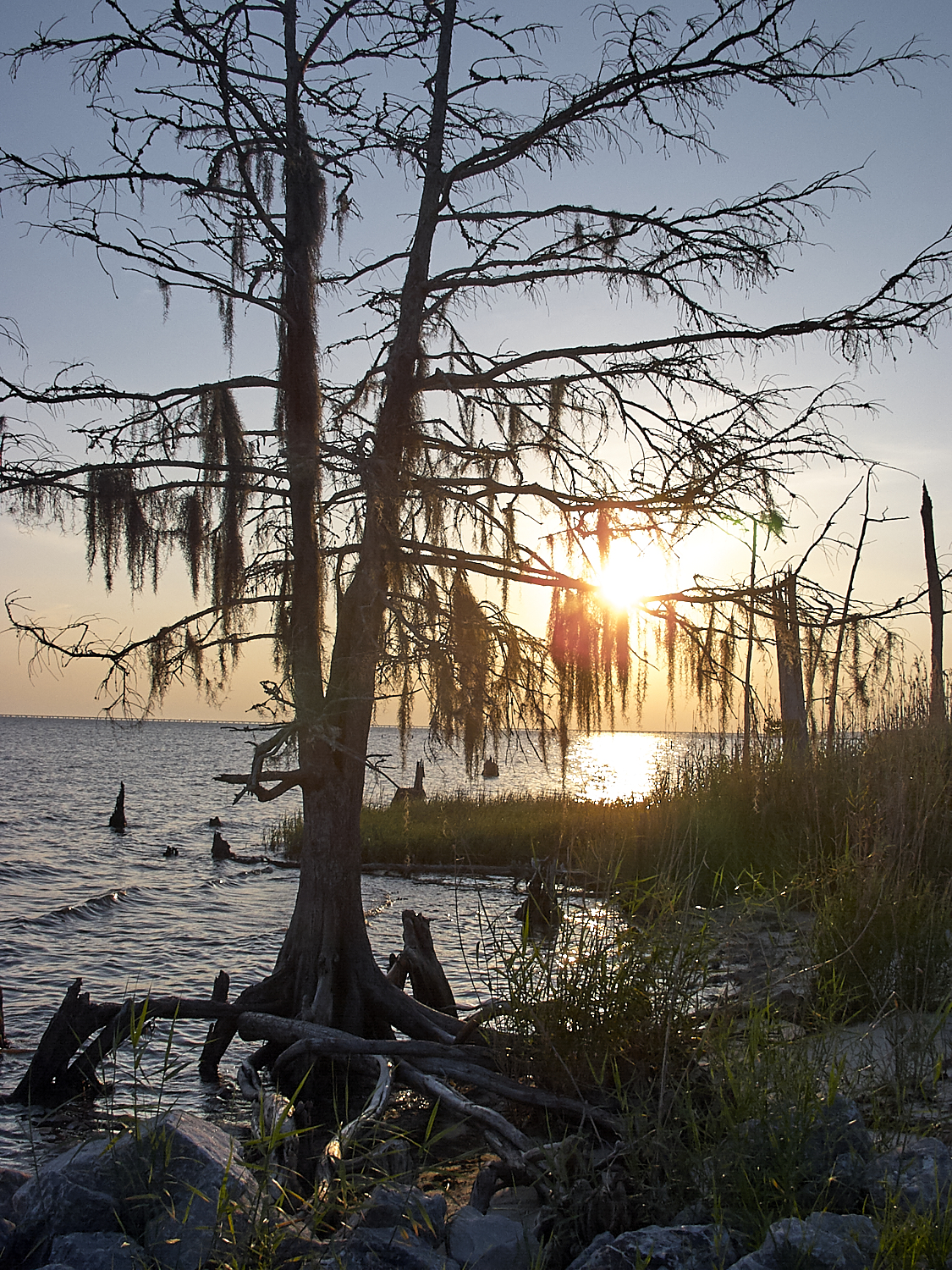 Spring Scout Campout