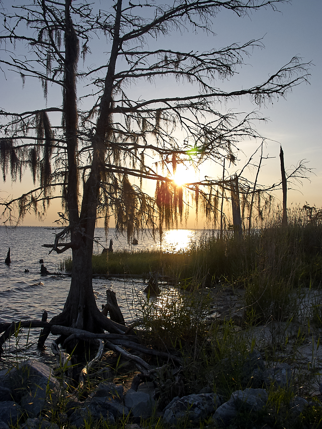 Spring Scout Campout