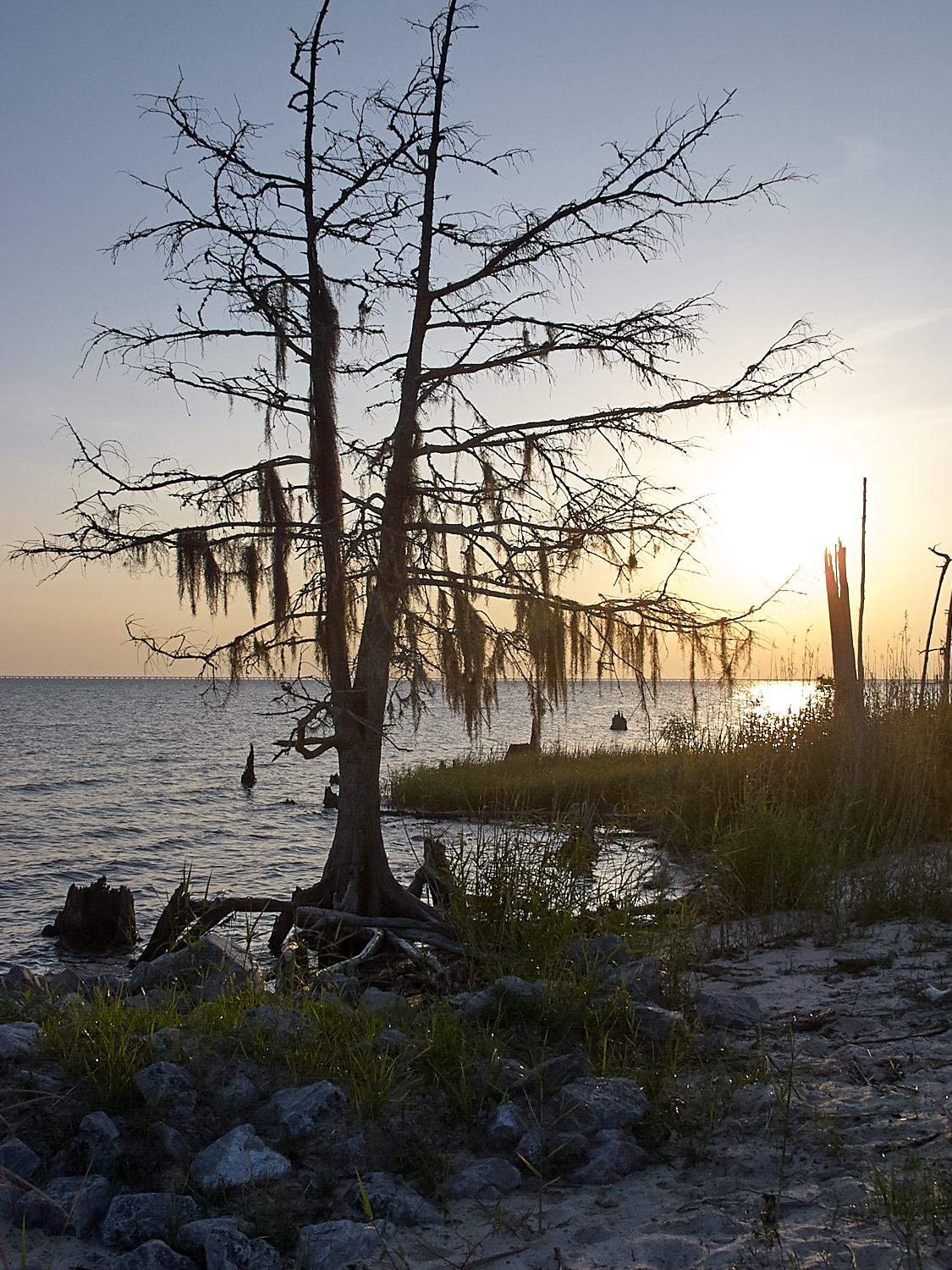 Spring Scout Campout