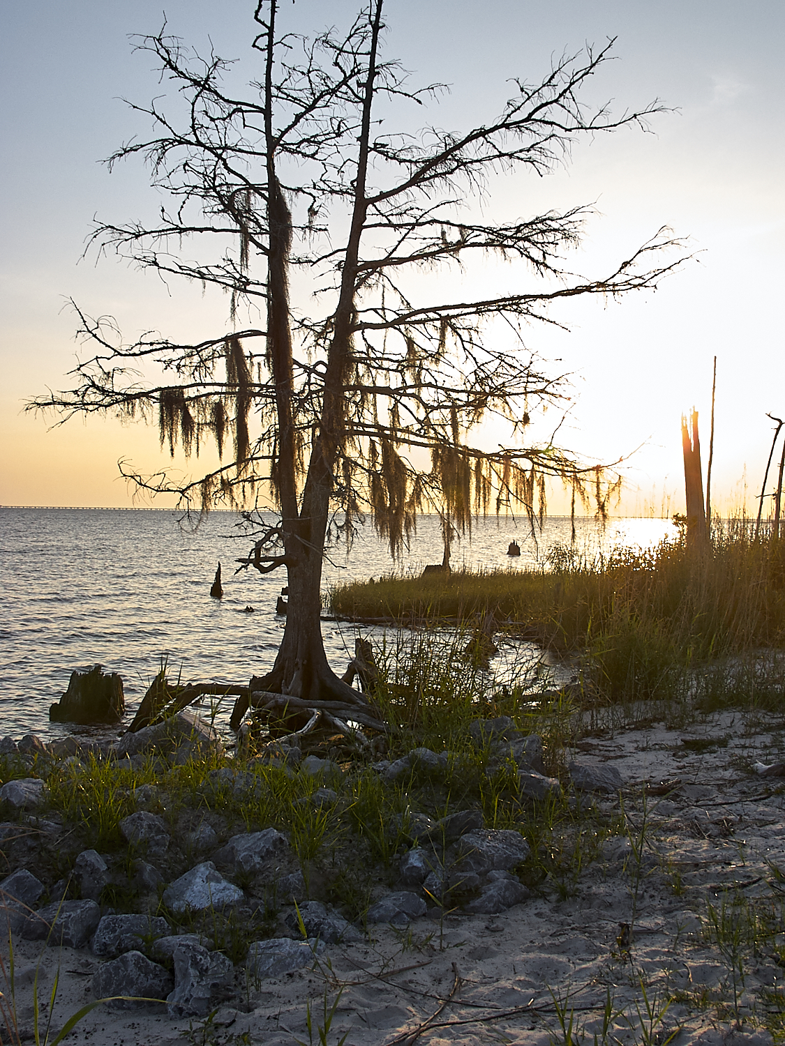 Spring Scout Campout