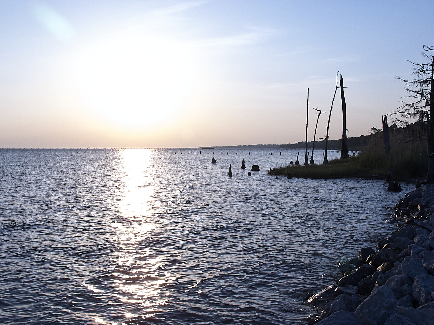 Spring Scout Campout