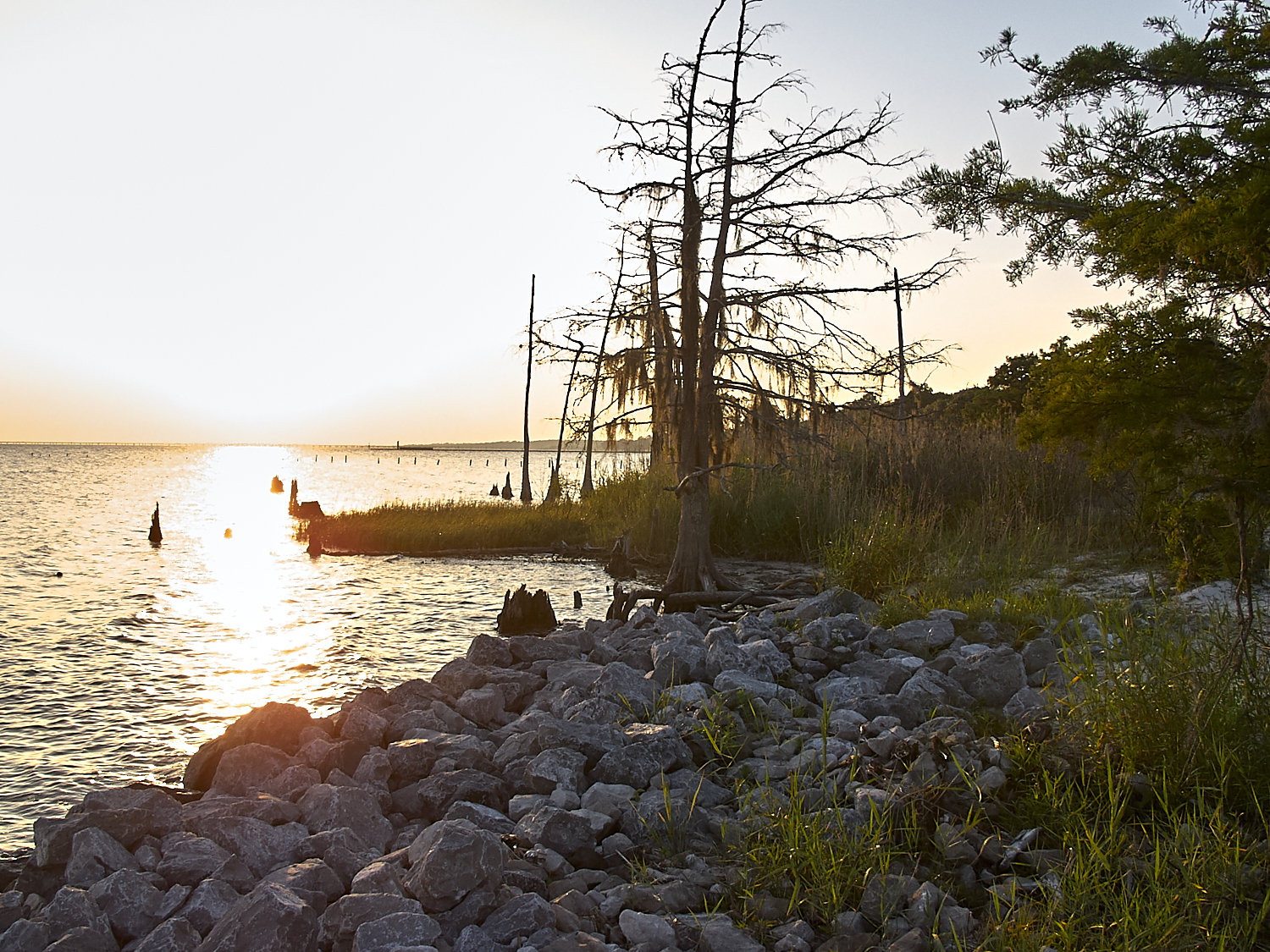 Spring Scout Campout