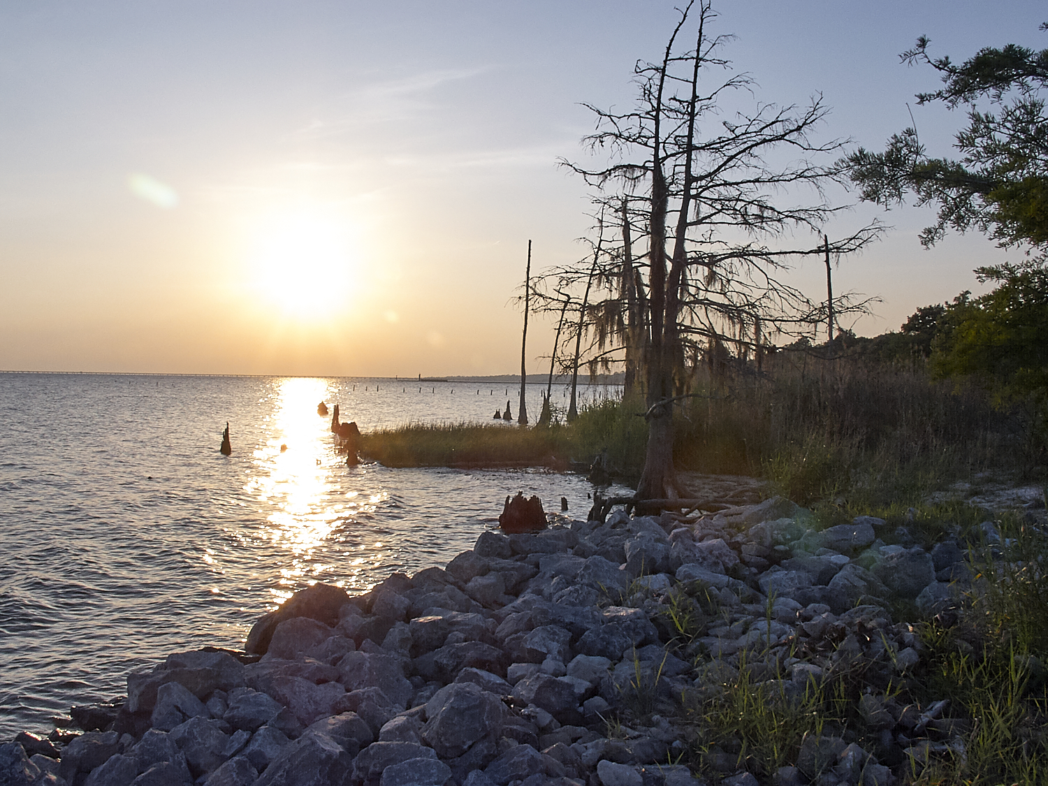 Spring Scout Campout