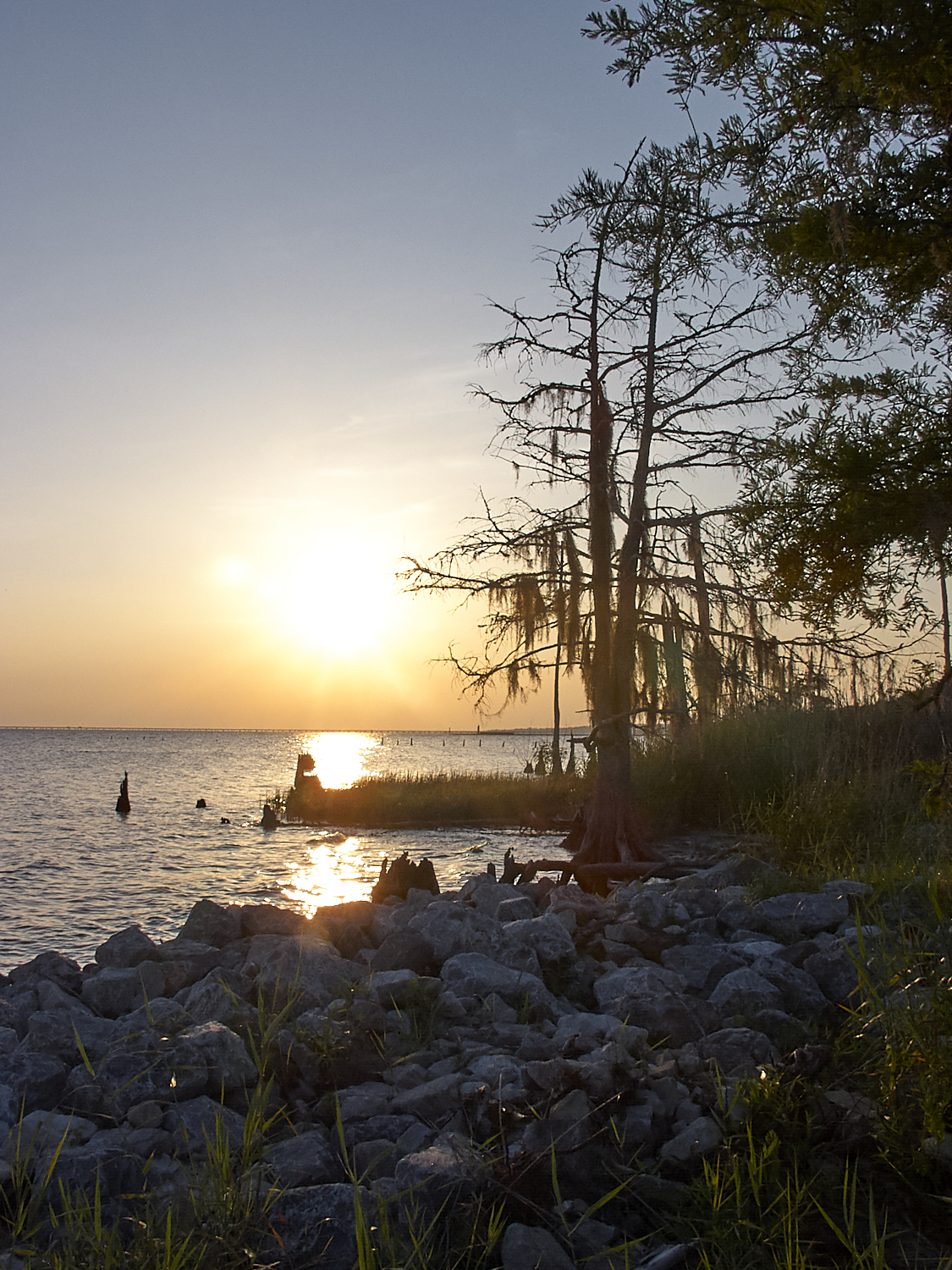 Spring Scout Campout