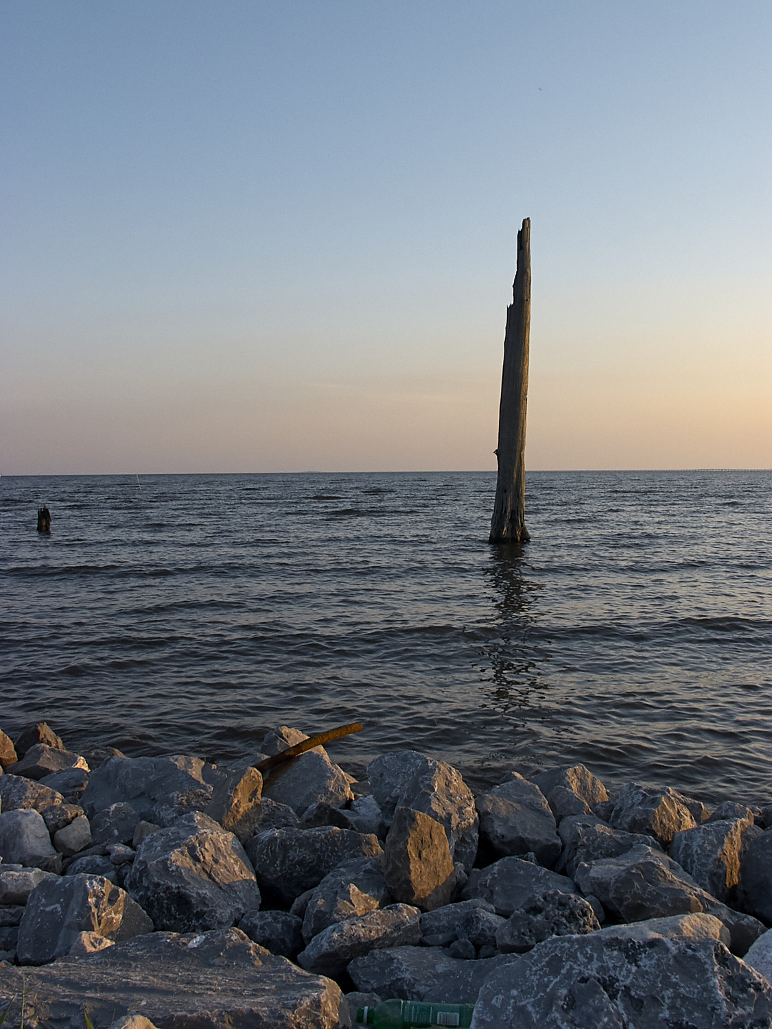 Spring Scout Campout