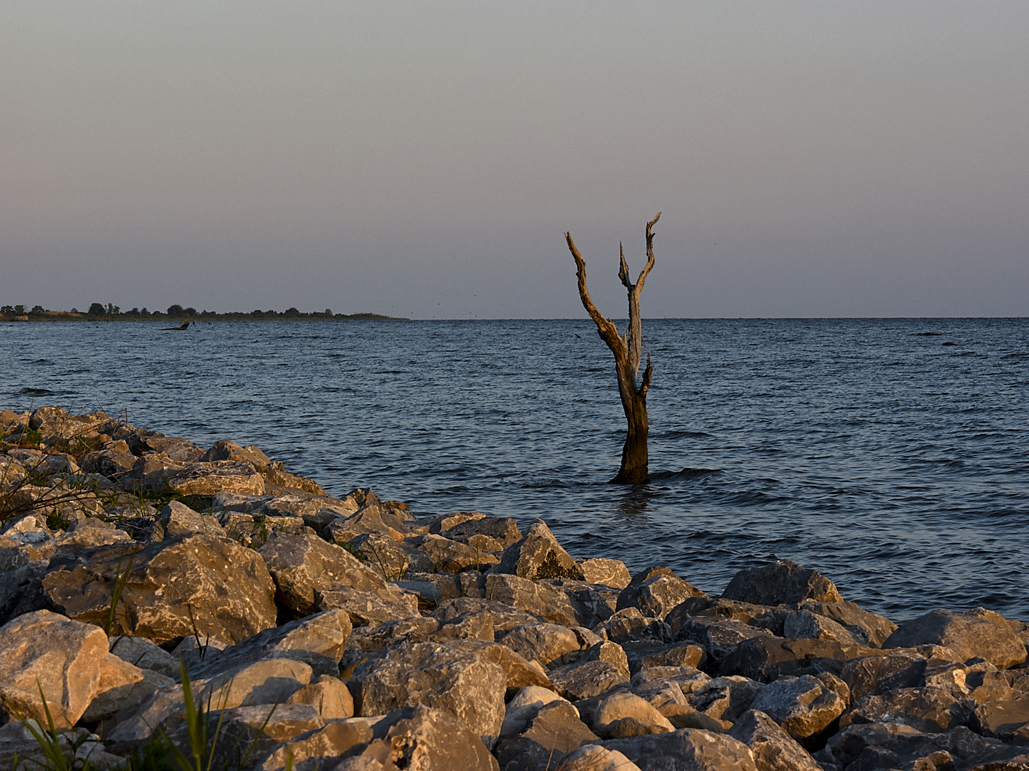Spring Scout Campout