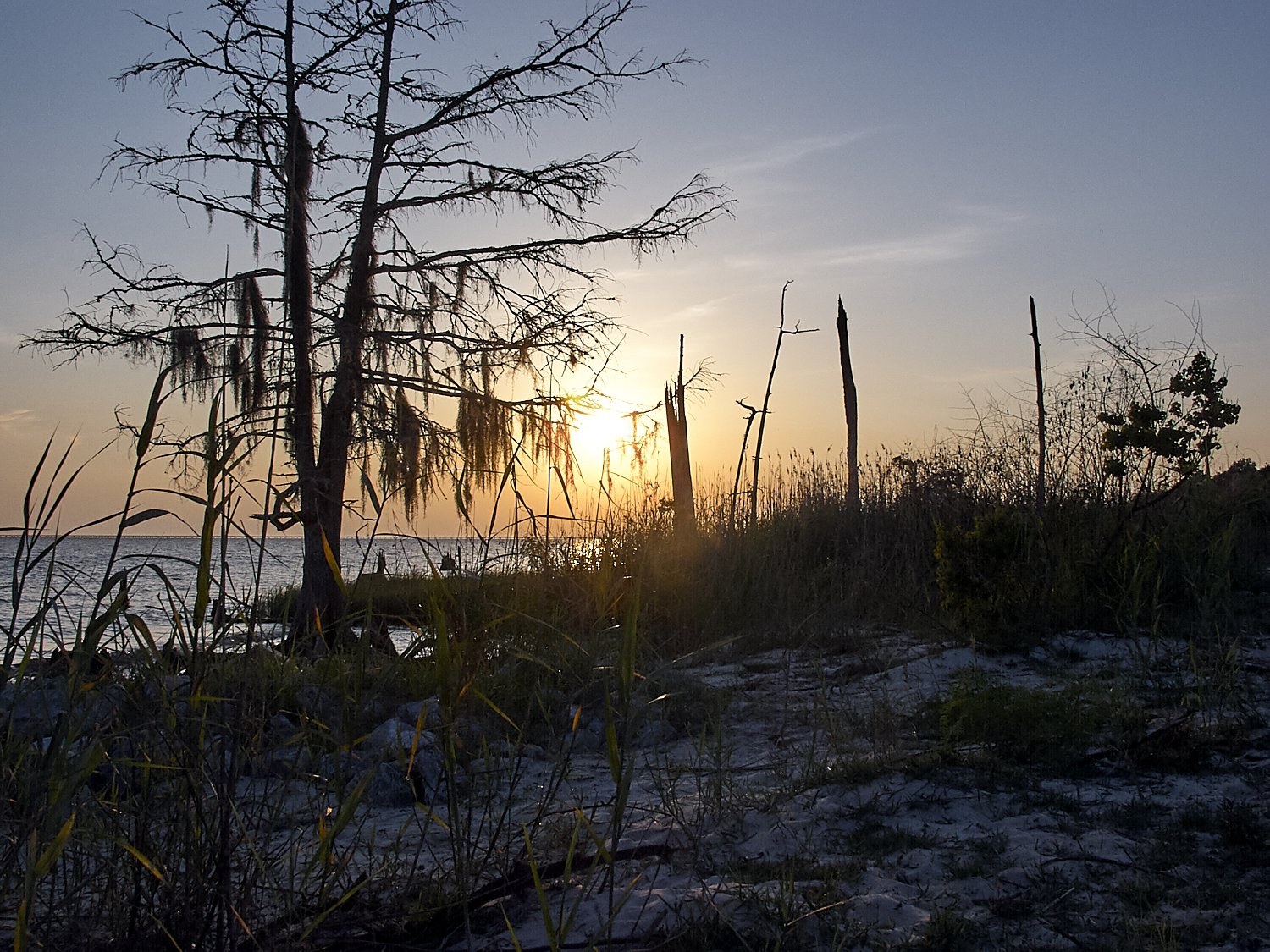Spring Scout Campout