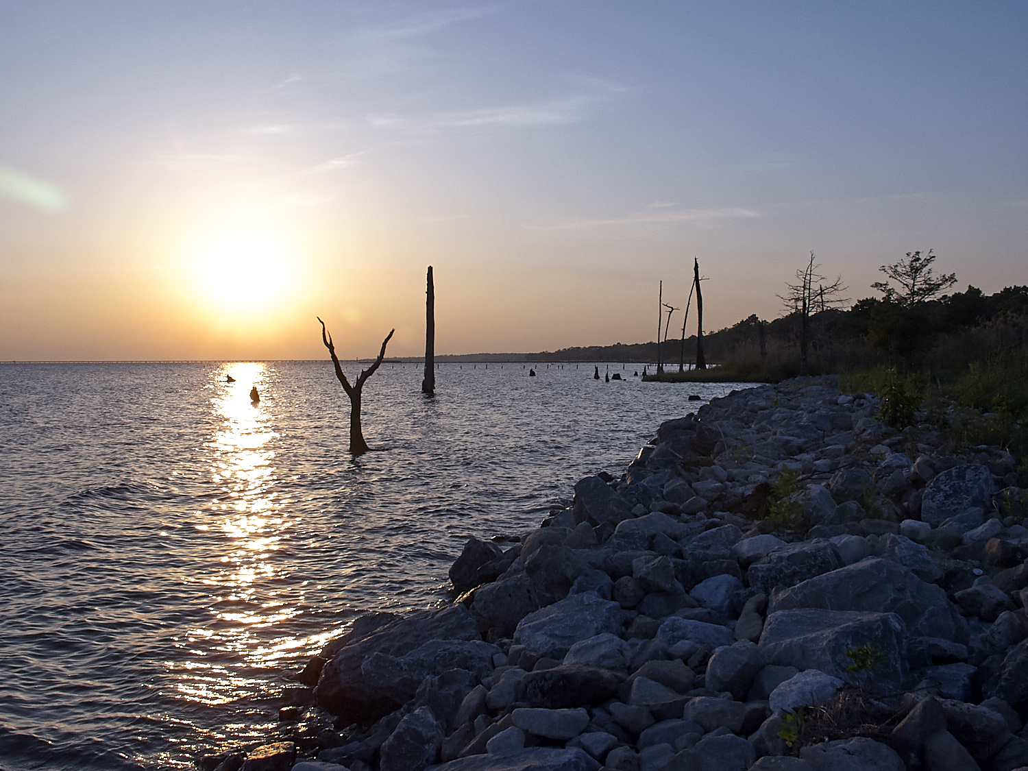 Spring Scout Campout