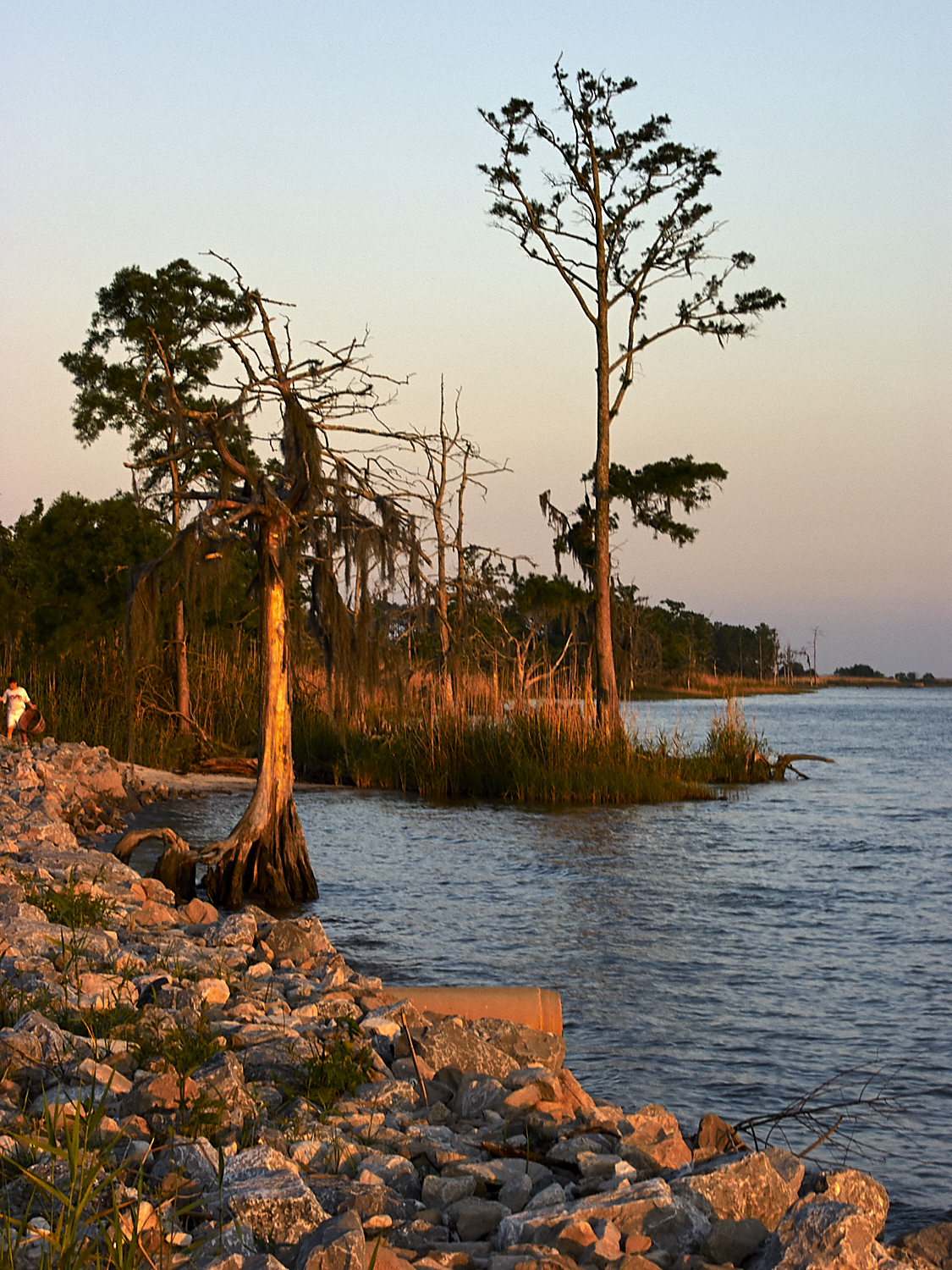 Spring Scout Campout