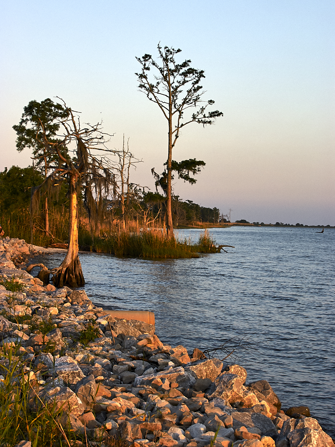Spring Scout Campout