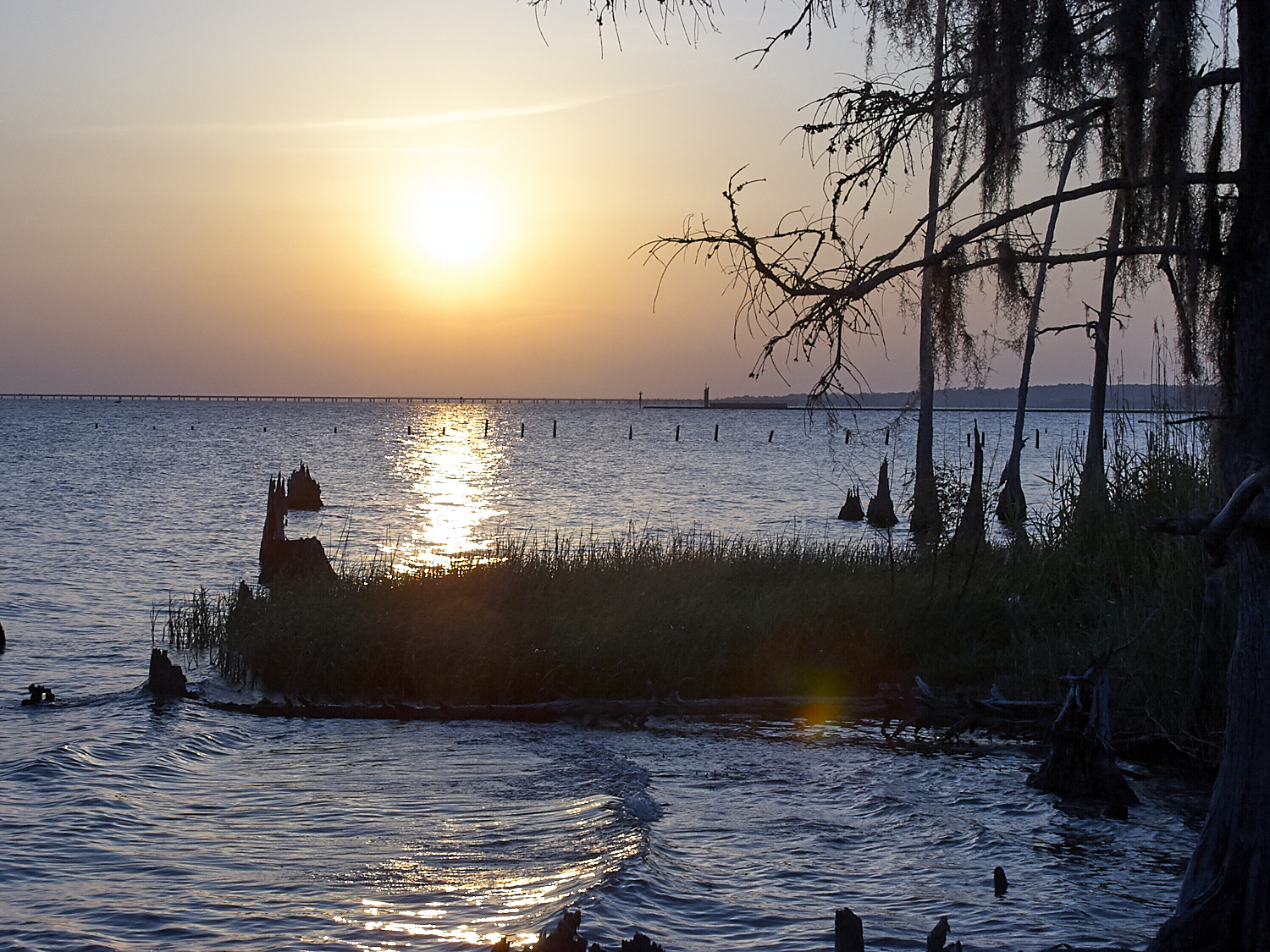Spring Scout Campout