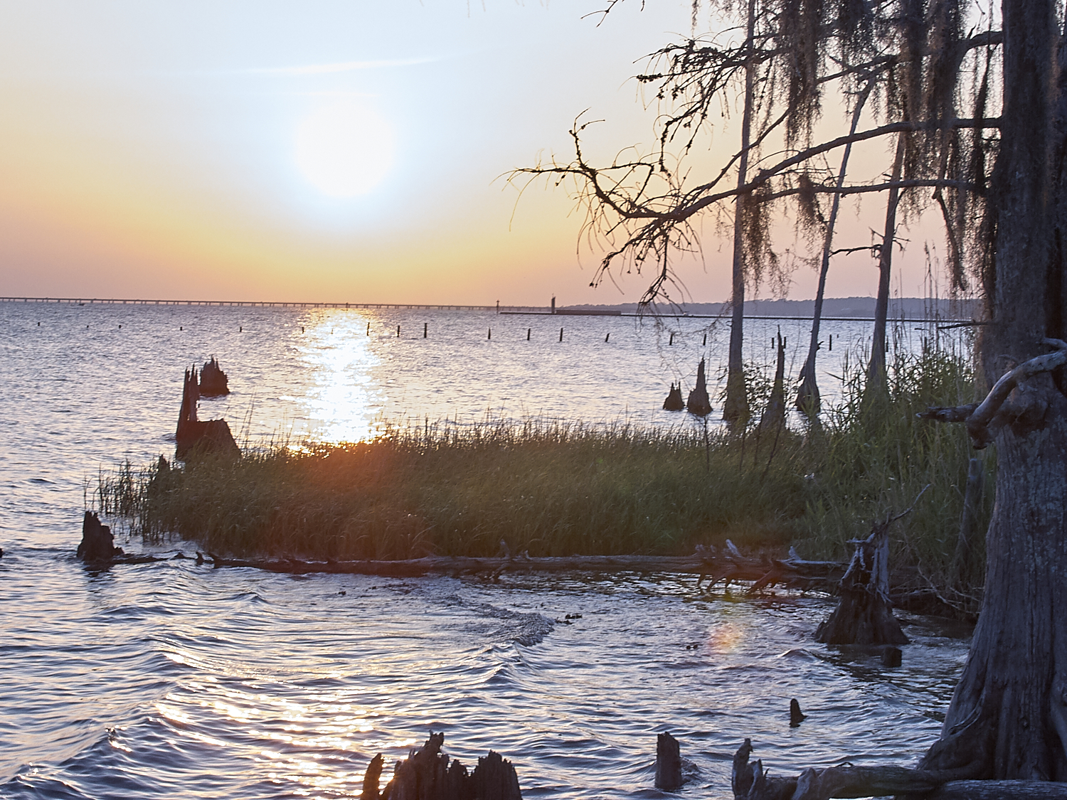 Spring Scout Campout