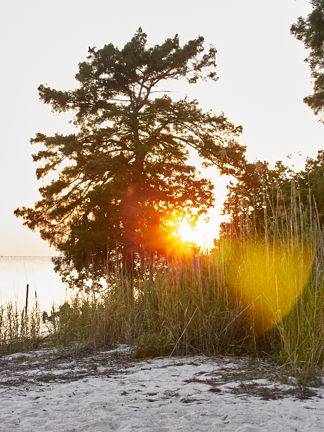 Spring Scout Campout